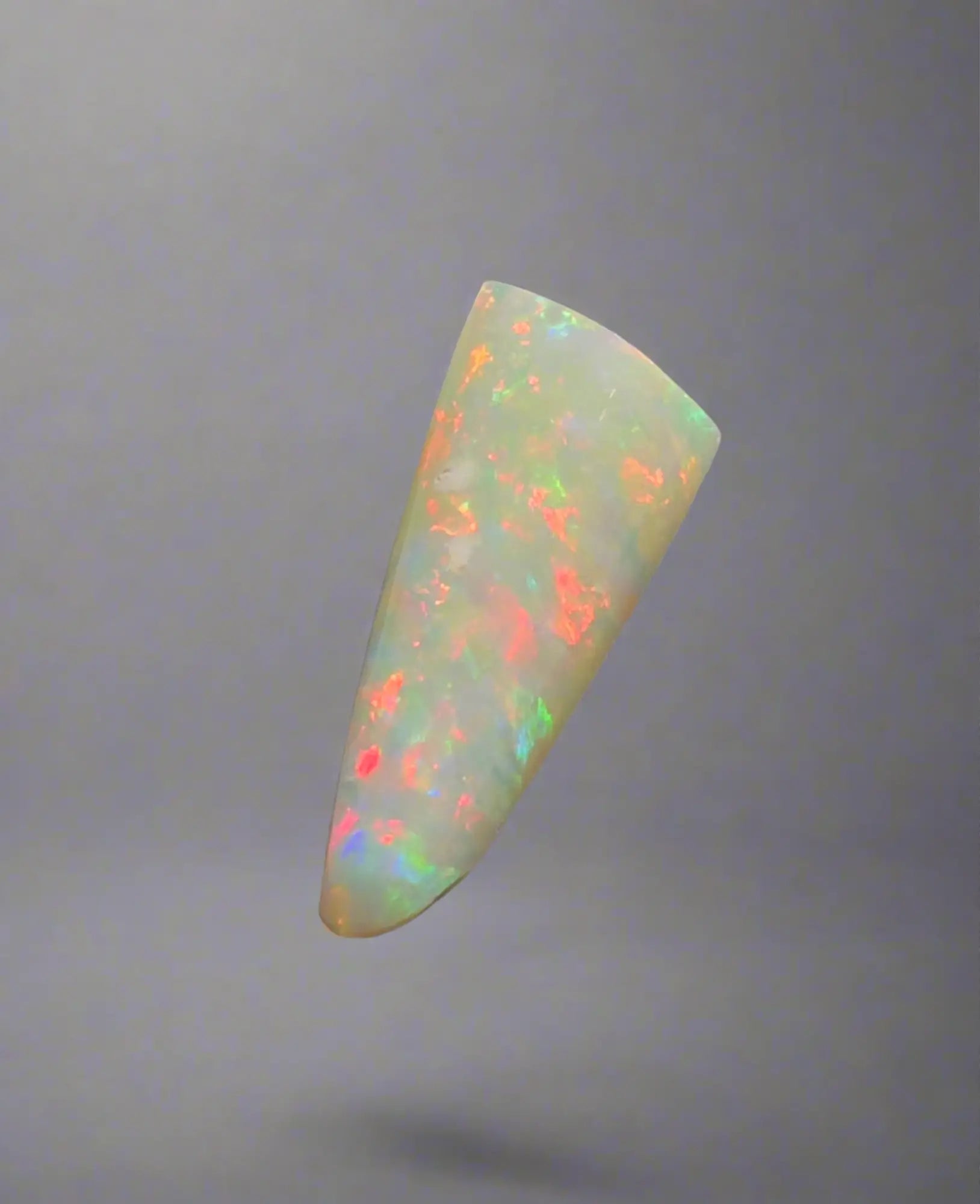 Opal Fossils: A Comprehensive Guide - Iona Opal Australia