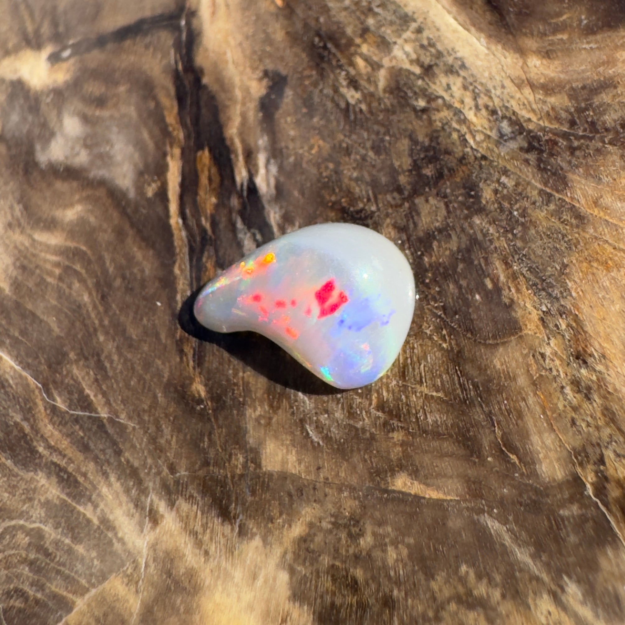 0.7ct Lightning Ridge Semi Black Opal | Solid Australian Opal