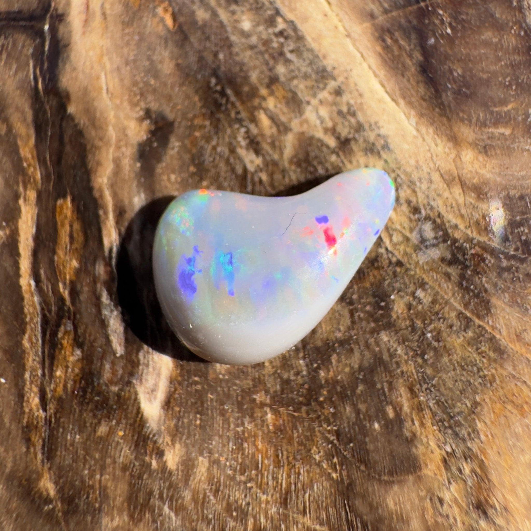 0.7ct Lightning Ridge Semi Black Opal | Solid Australian Opal