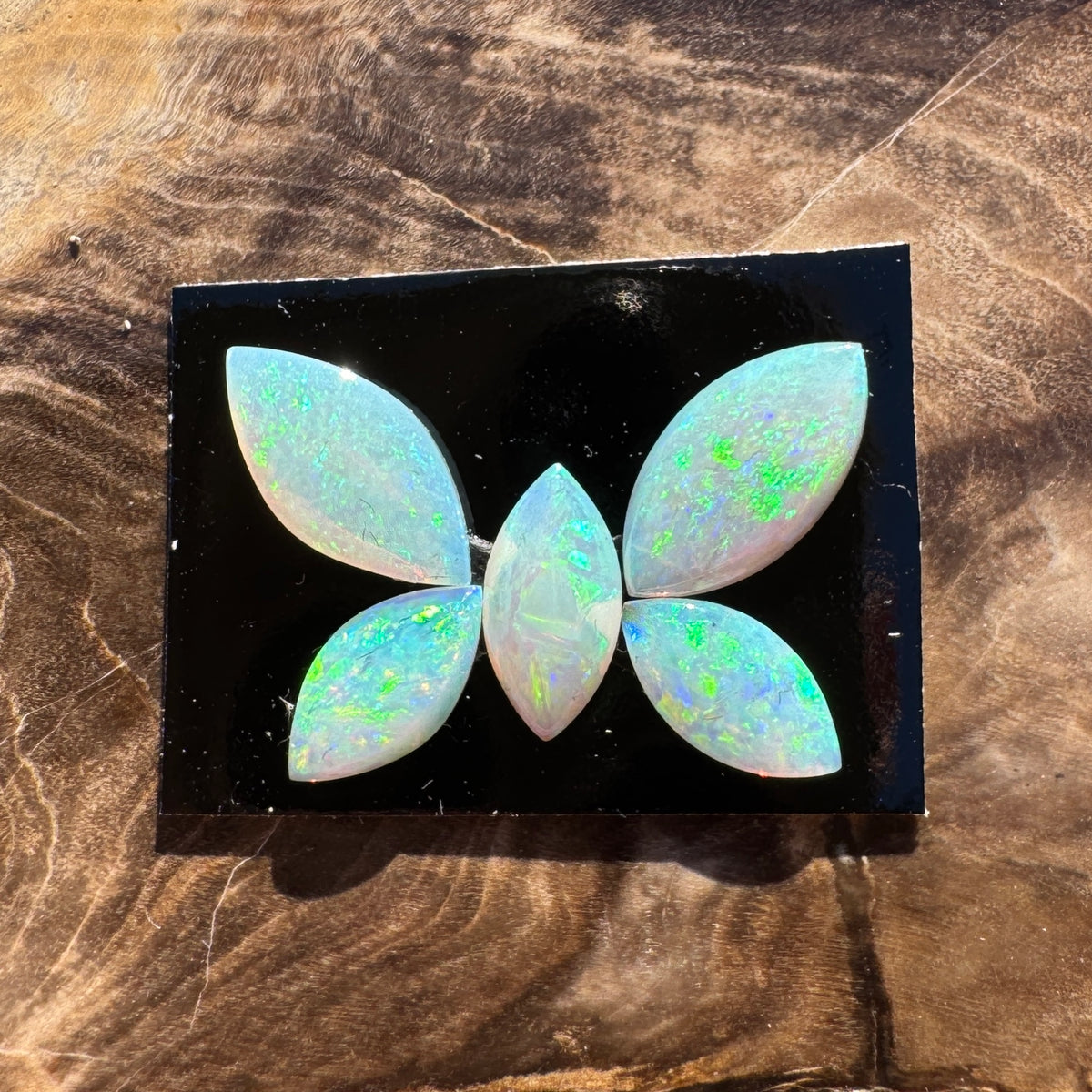1.8ct Parcel Coober Pedy Opal Butterfly Set | Solid Australian Opal | Hand-Cut