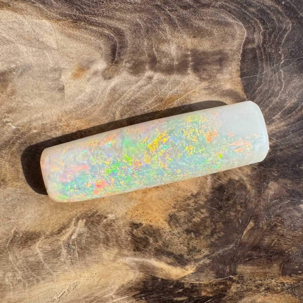 10.6ct Coober Pedy Belemnite Opal | Solid Australian Opal | Hand-Cut