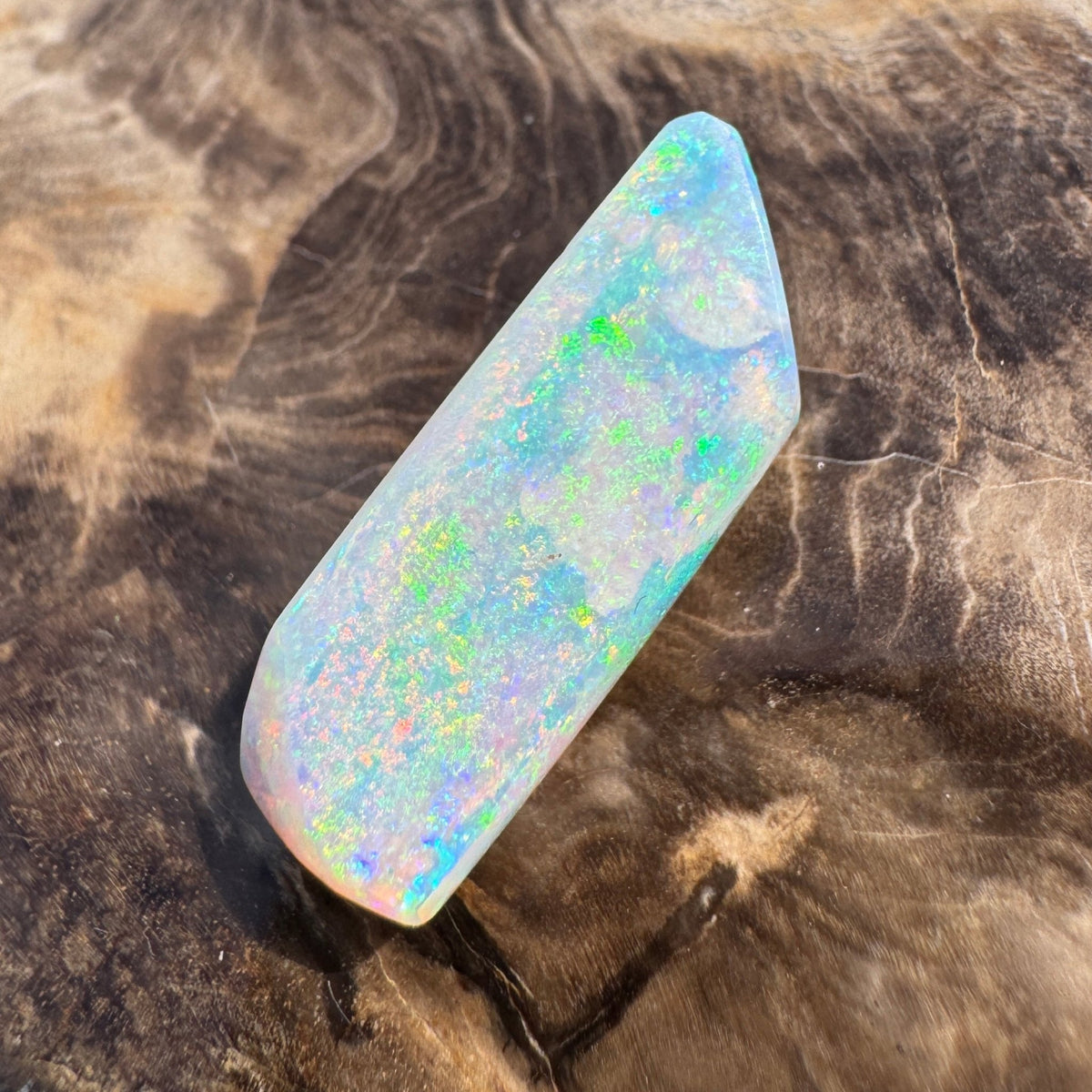 11.6ct Coober Pedy Belemnite Opal | Solid Australian Opal | Hand-Cut
