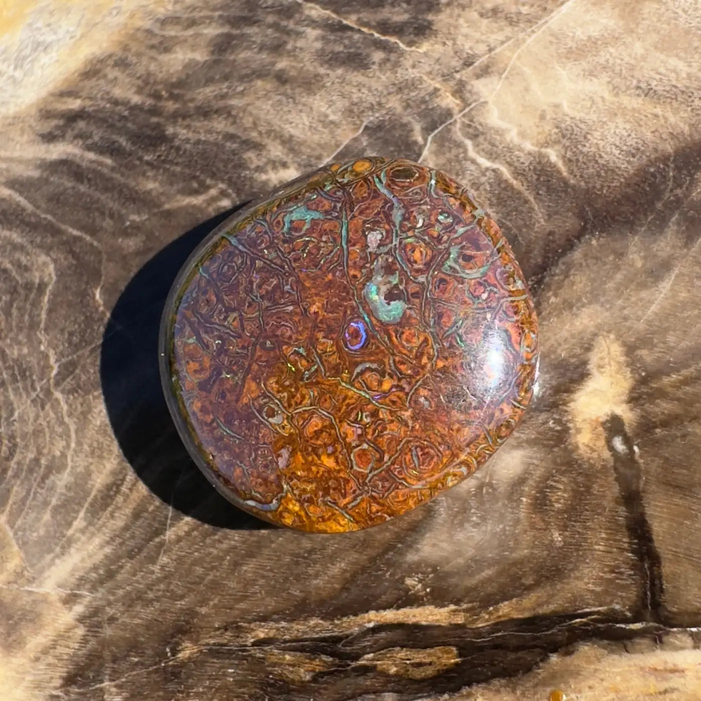 Polished Boulder Opal with vibrant color play in 12.2ct hand-cut solid boulder opal