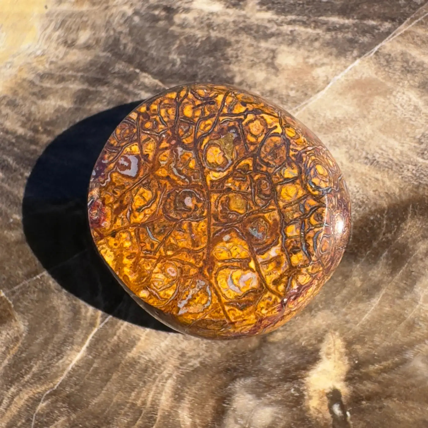 Polished round yellow-brown patterned Boulder Opal stone, 12.2ct Hand-Cut Solid gemstone