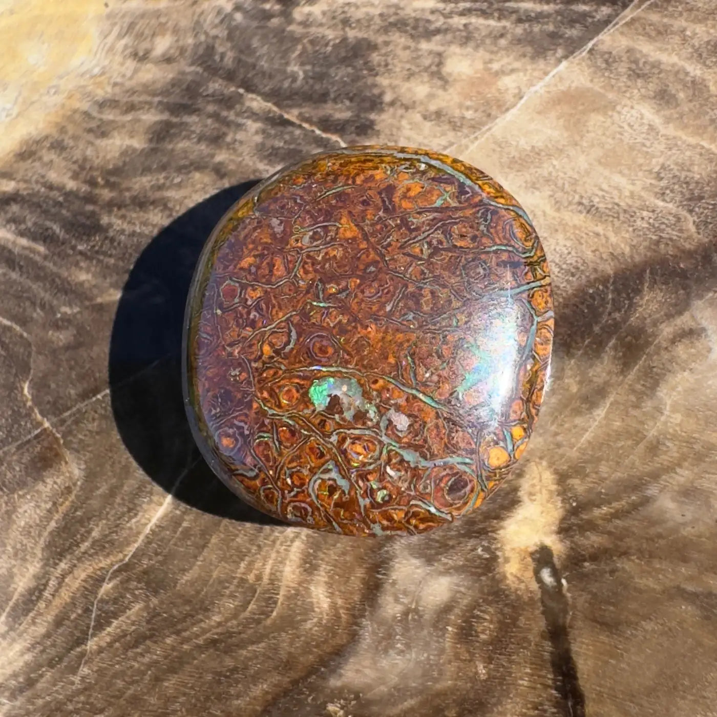 Polished Boulder Opal Cabochon showcasing vibrant play-of-color in a 12.2ct hand-cut design