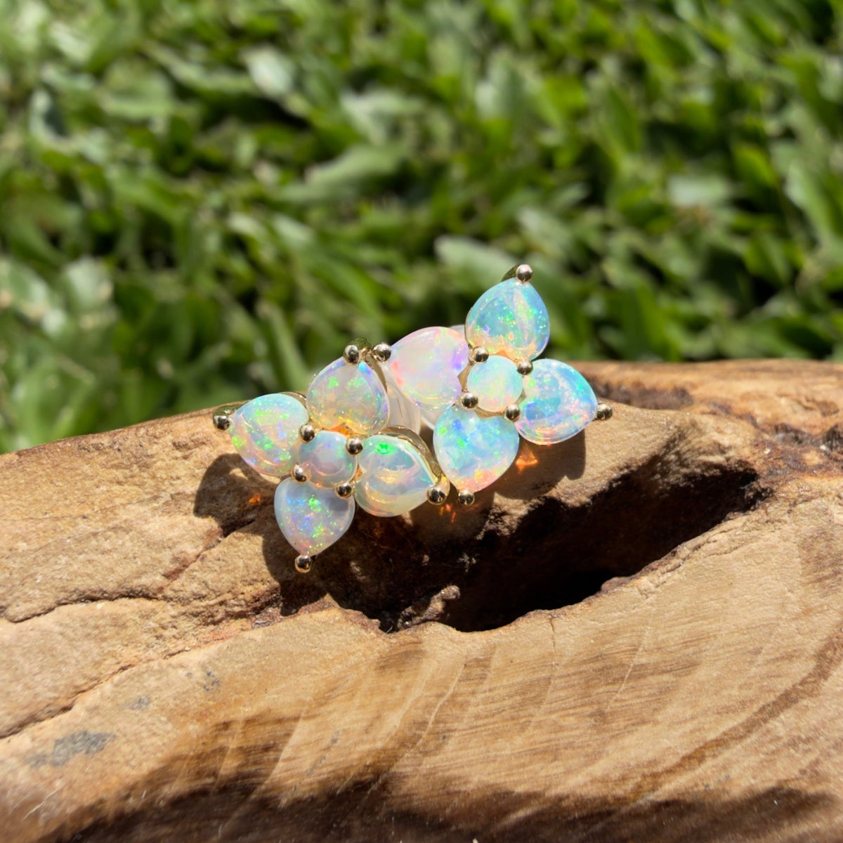 1.2ct Coober Pedy Opal Flower Stud Earrings ~ 'Adelaide Hills Blossom' | 9ct Yellow Gold | Solid Australian Opal