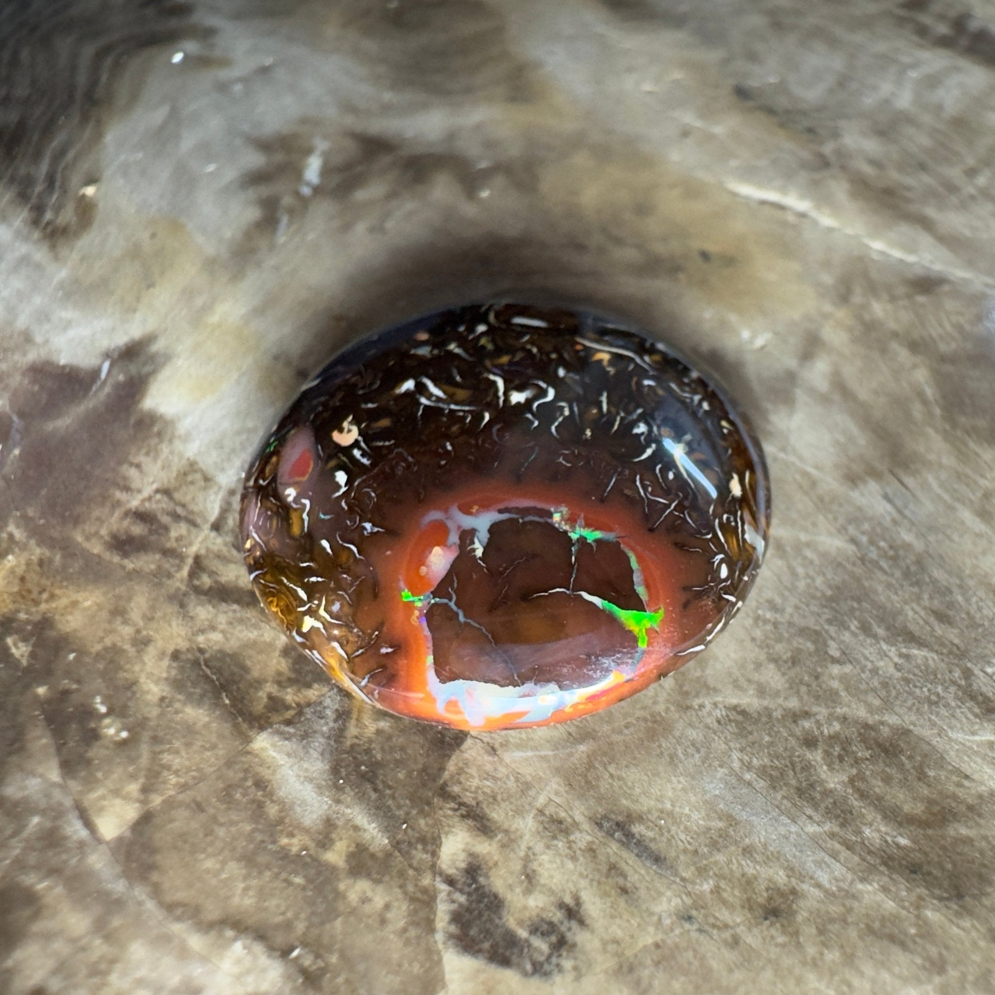 13.5ct Solid Queensland Boulder Opal