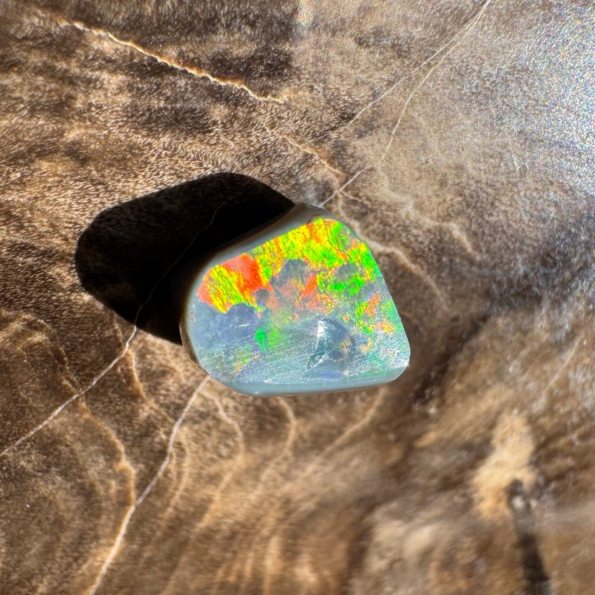 1.3ct Lightning Ridge Freeform Opal | Solid Australian Opal | Hand-Cut
