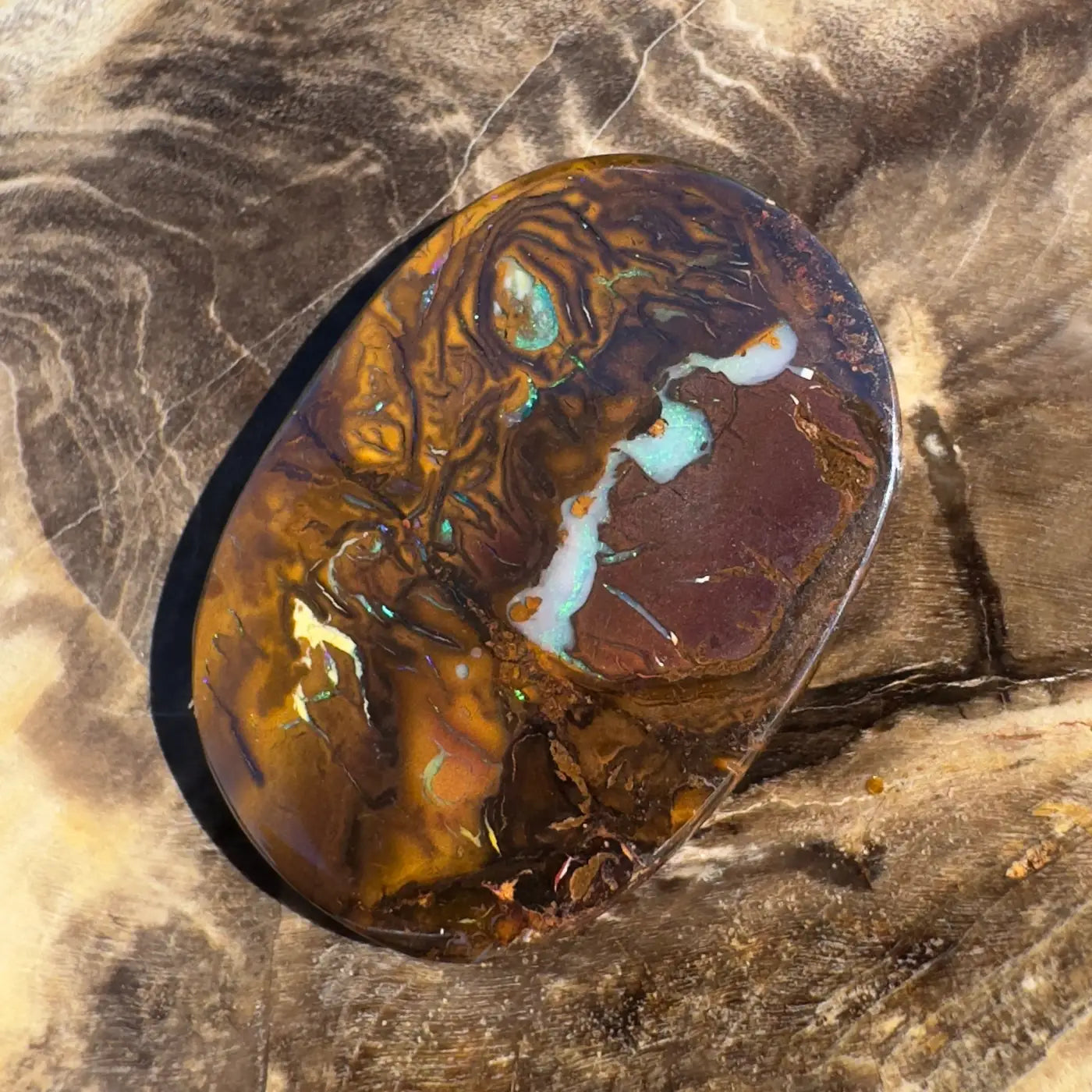 Polished Boulder Opal displaying brown and blue hues in a 15.9ct hand-cut solid gemstone