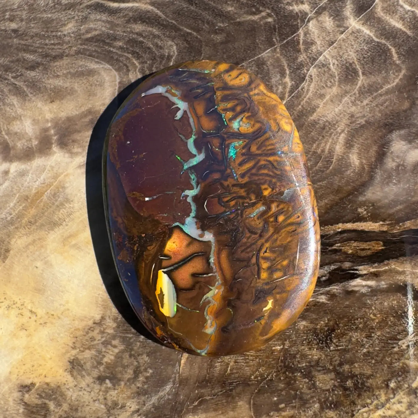 Polished Boulder Opal with brown and teal patterns in 15.9ct Hand-Cut Solid Boulder Opal display