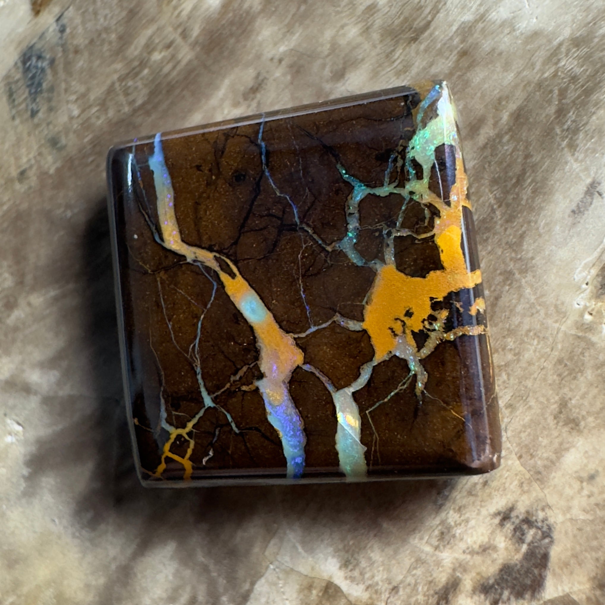 15.4ct Solid Queensland Boulder Opal