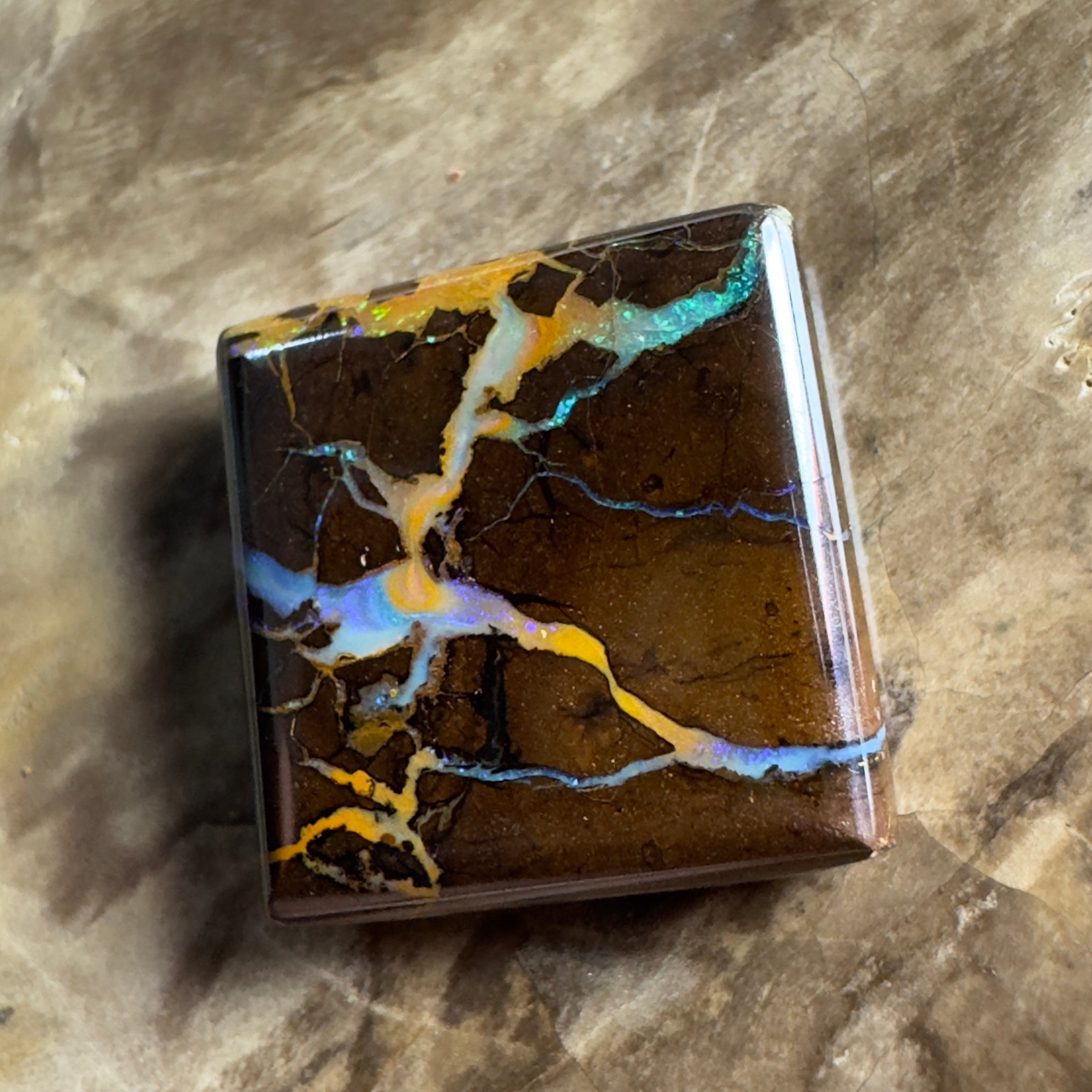 15.4ct Solid Queensland Boulder Opal