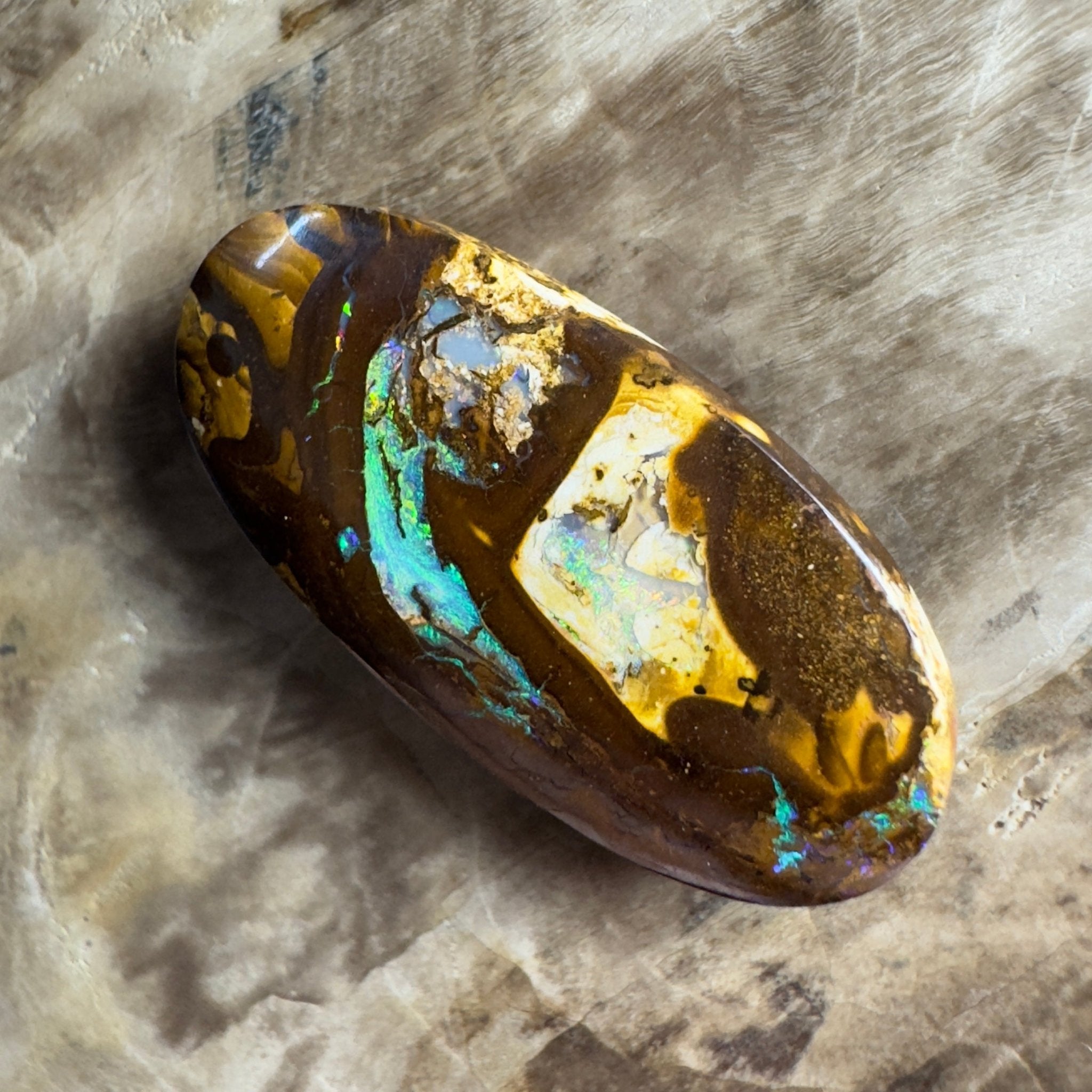 15.6ct Solid Queensland Boulder Opal