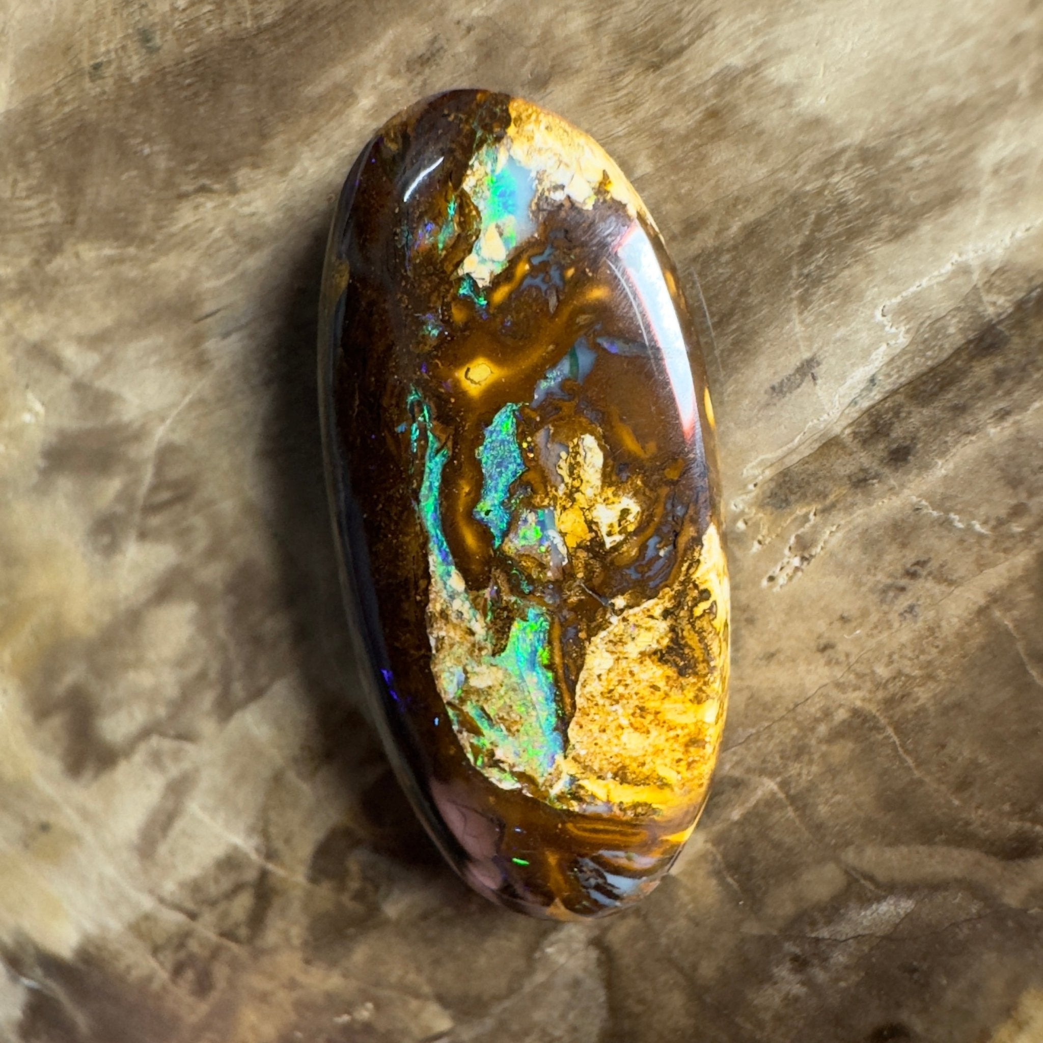 15.6ct Solid Queensland Boulder Opal