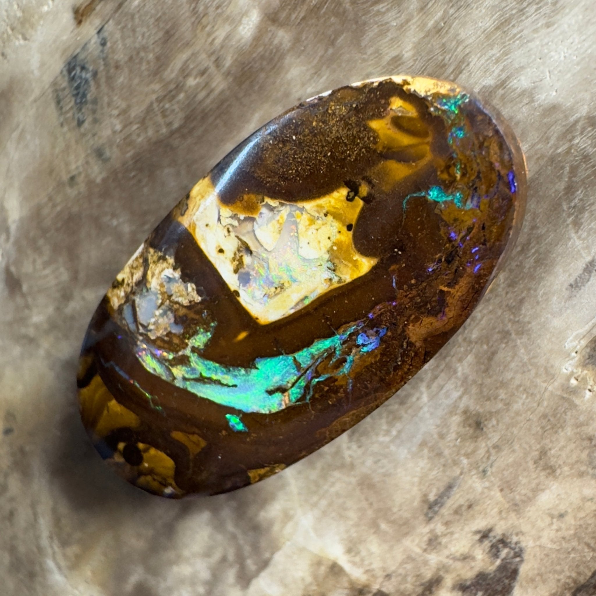 15.6ct Solid Queensland Boulder Opal