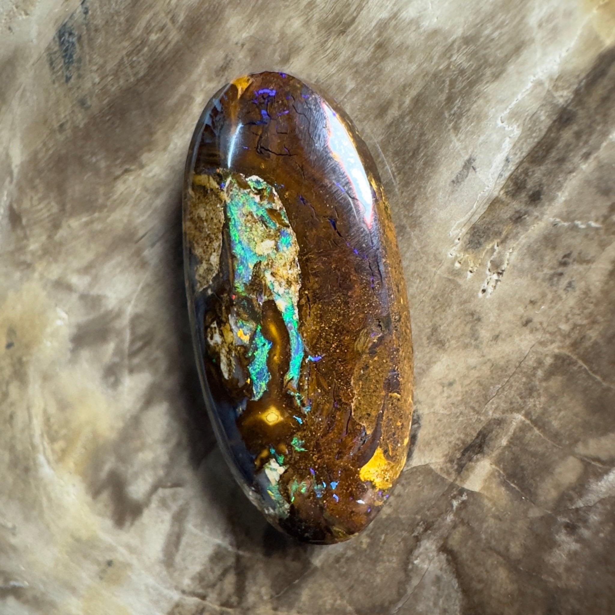 15.6ct Solid Queensland Boulder Opal