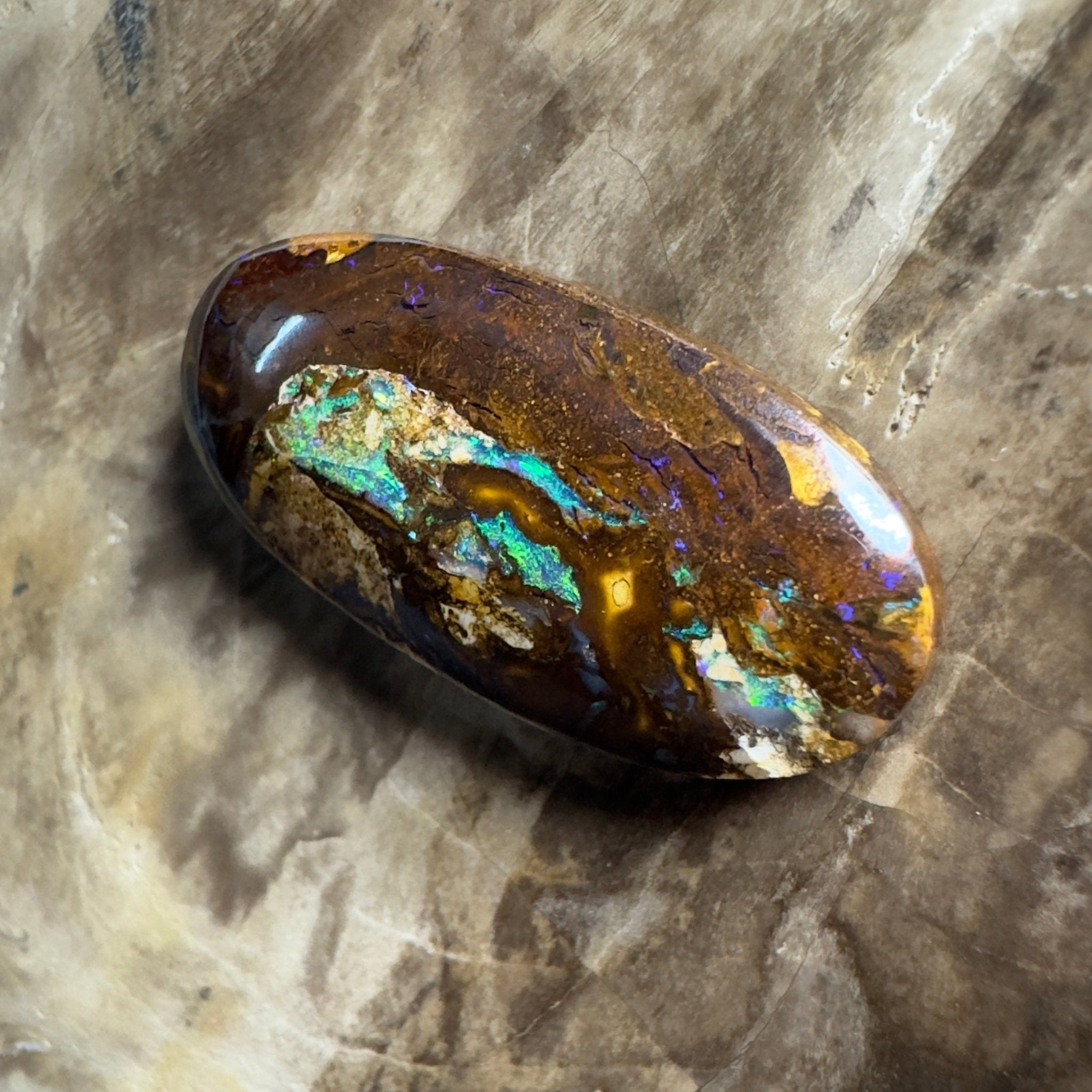 15.6ct Solid Queensland Boulder Opal