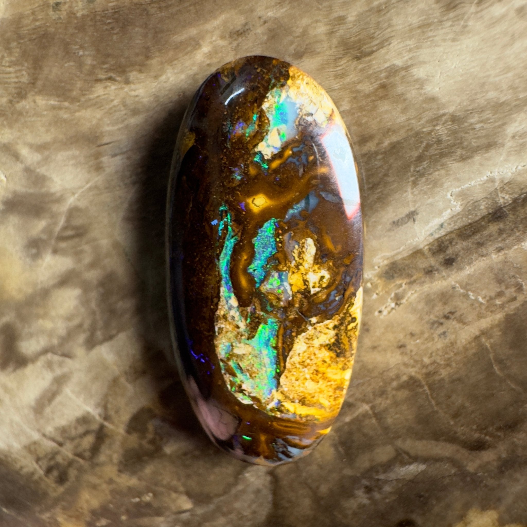 15.6ct Solid Queensland Boulder Opal