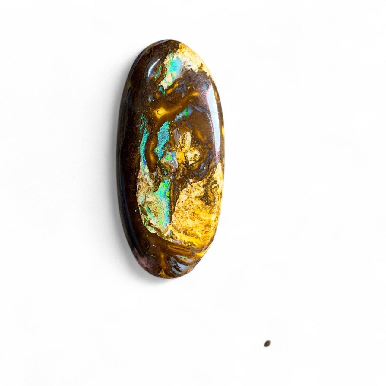 15.6ct Solid Queensland Boulder Opal