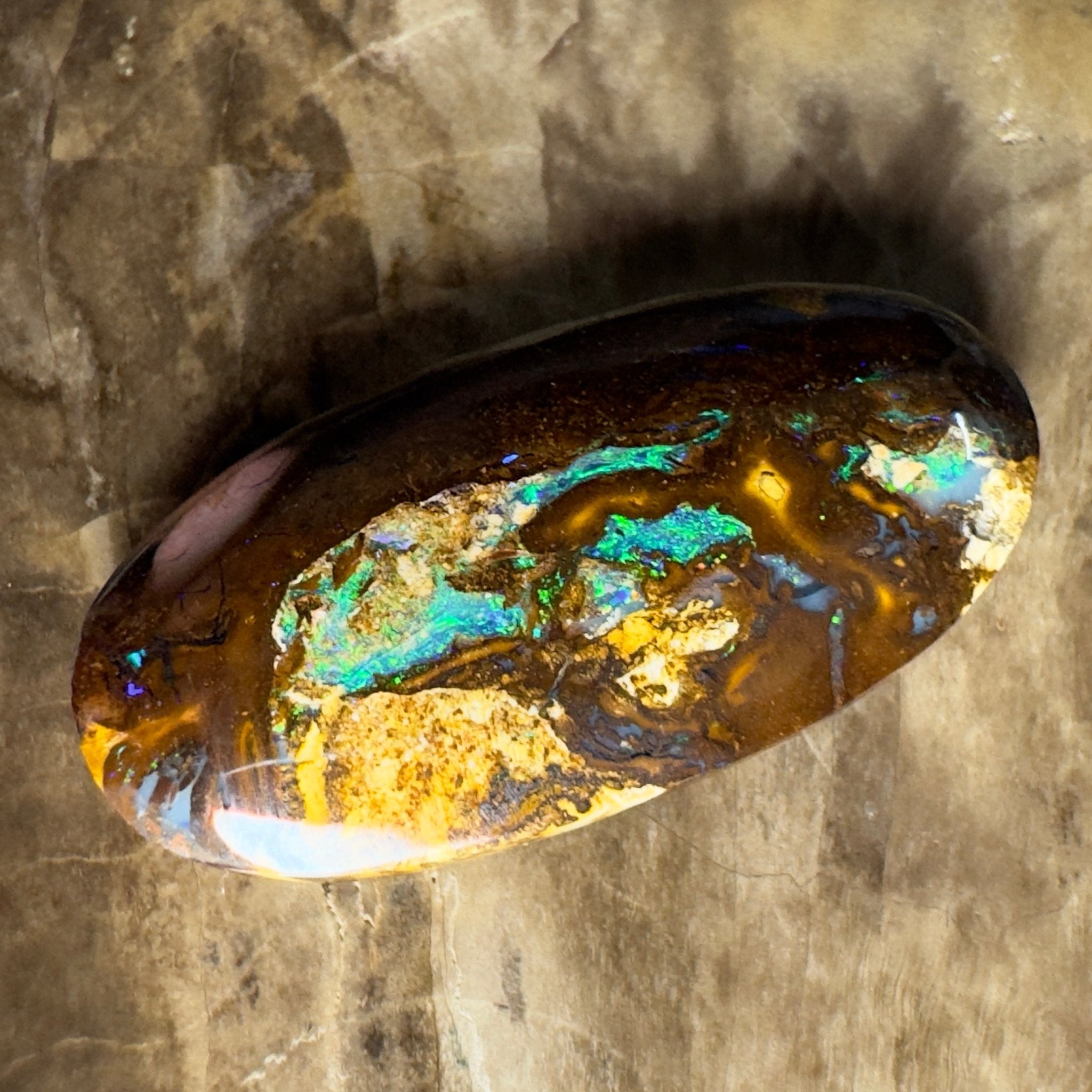 15.6ct Solid Queensland Boulder Opal