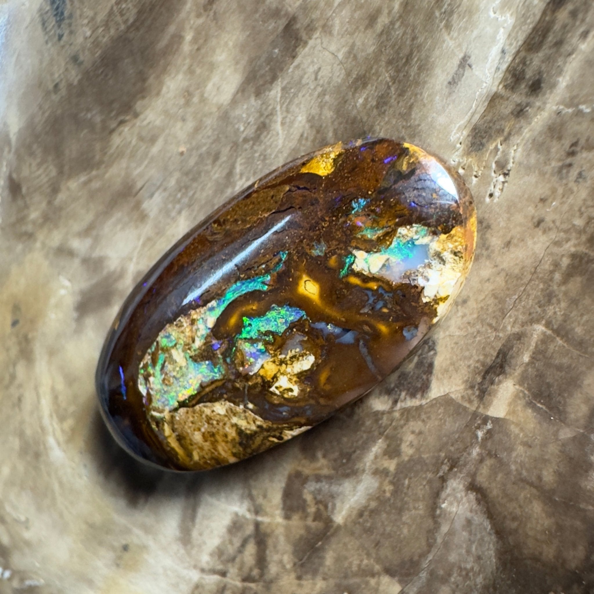 15.6ct Solid Queensland Boulder Opal