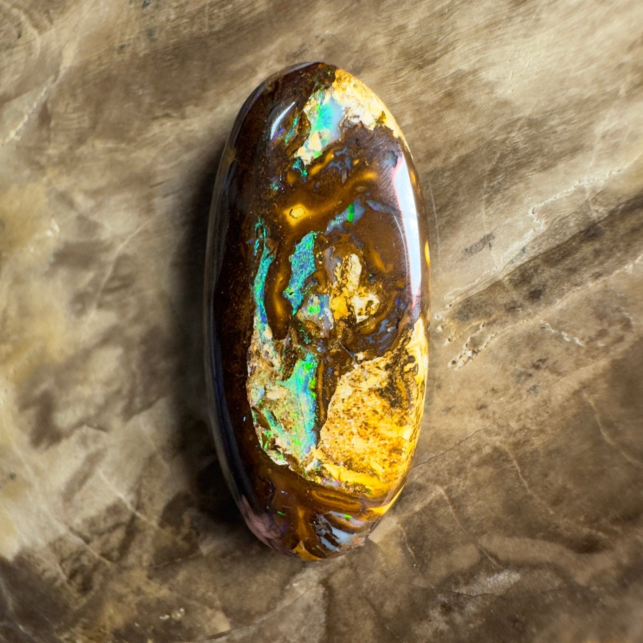 15.6ct Solid Queensland Boulder Opal