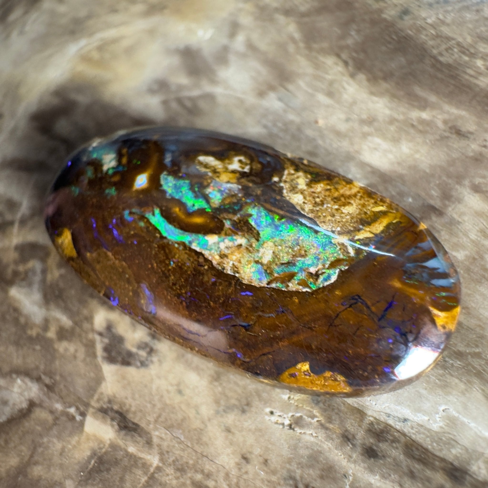 15.6ct Solid Queensland Boulder Opal