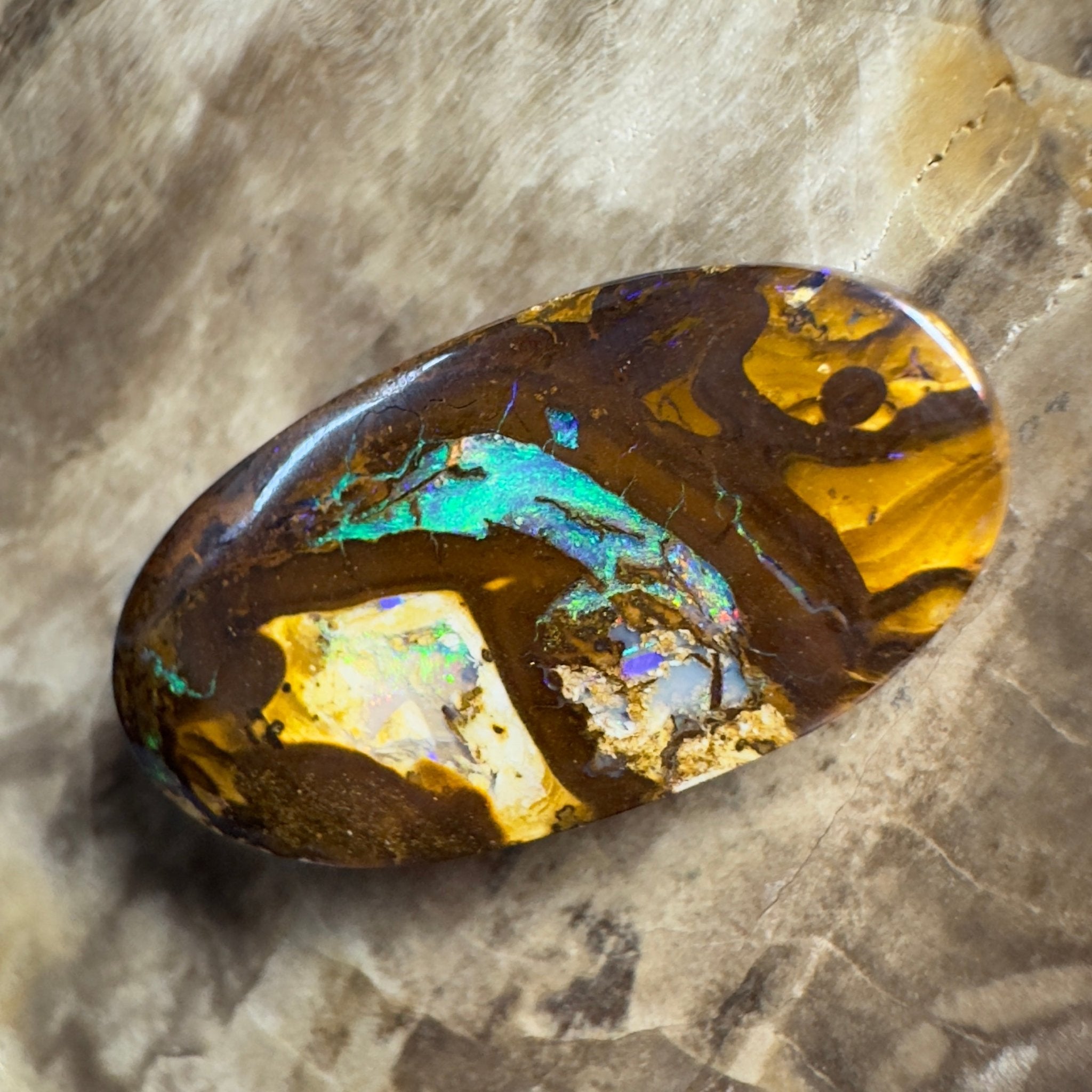 15.6ct Solid Queensland Boulder Opal