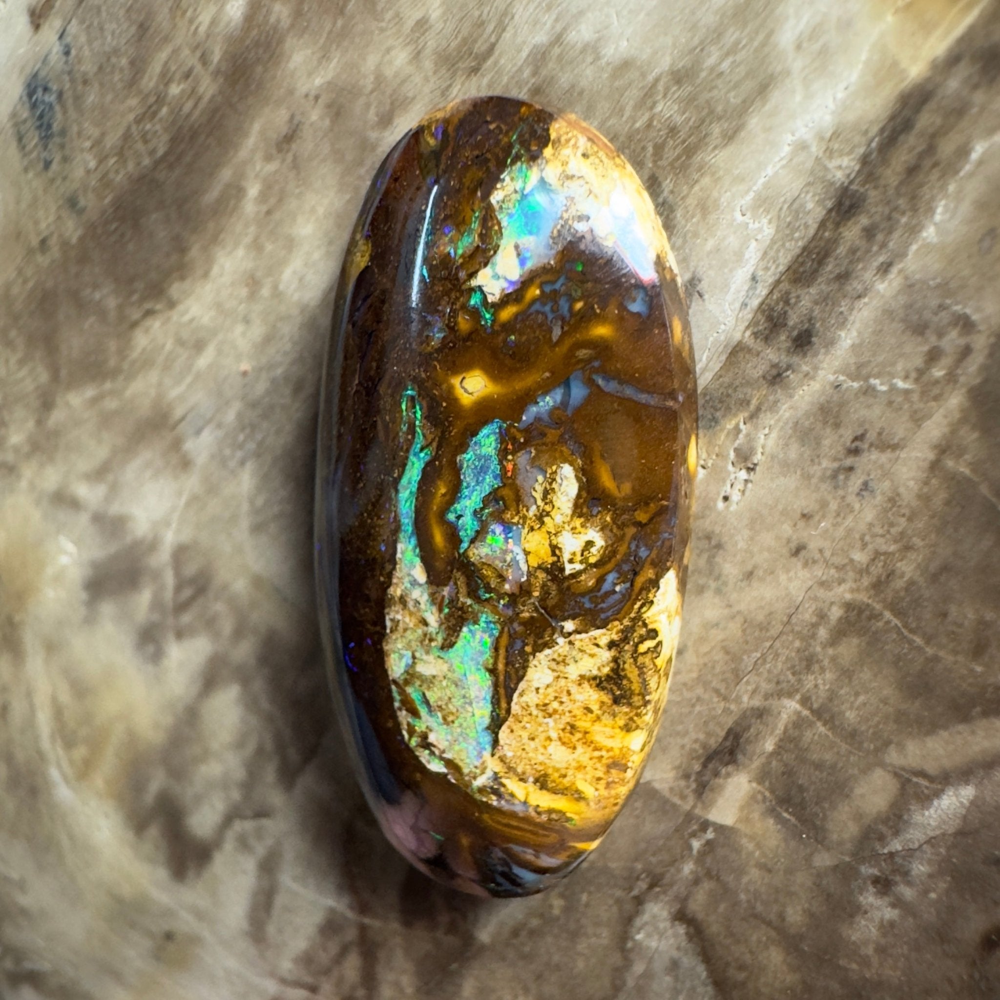 15.6ct Solid Queensland Boulder Opal