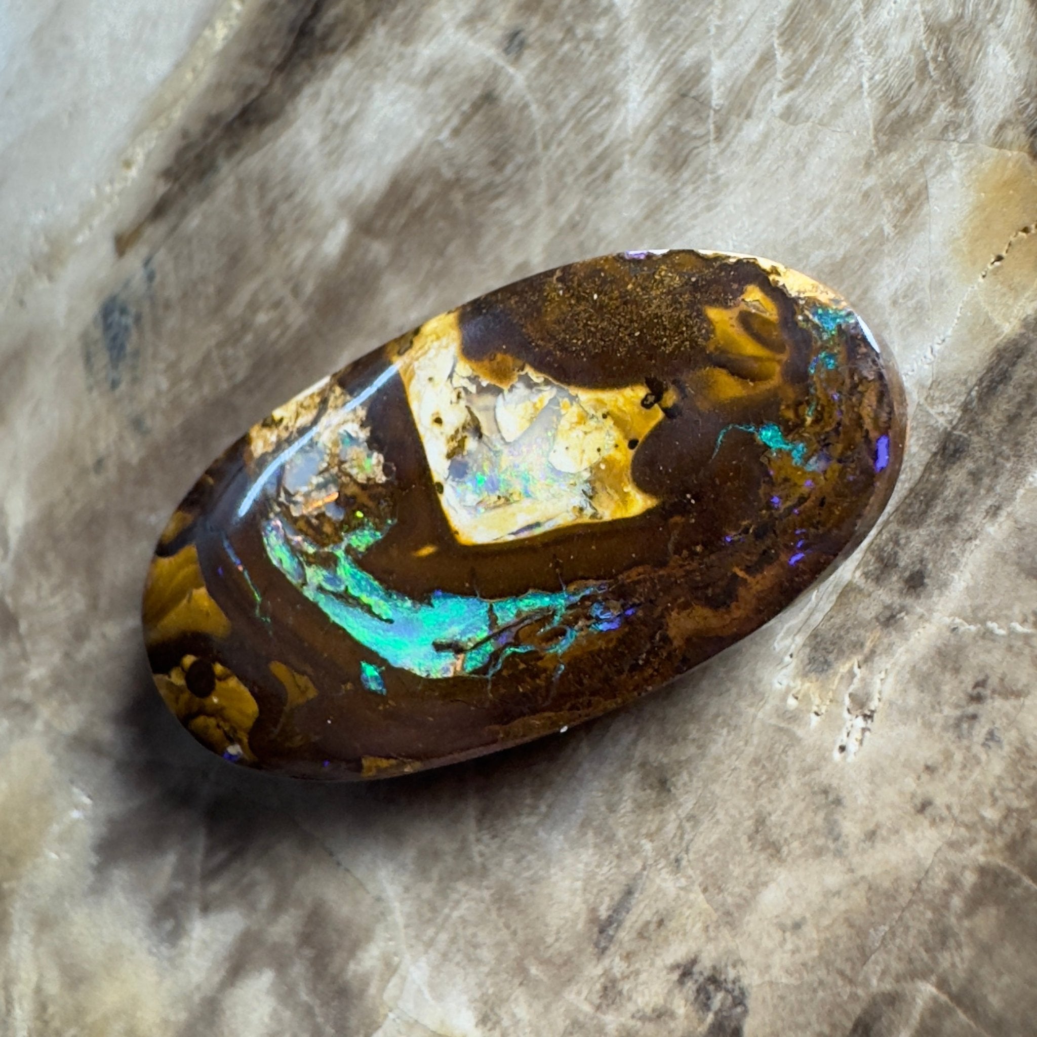 15.6ct Solid Queensland Boulder Opal