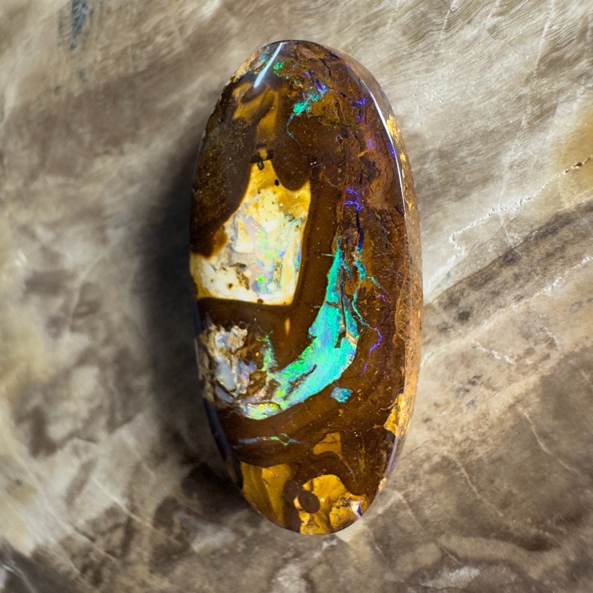 15.6ct Solid Queensland Boulder Opal