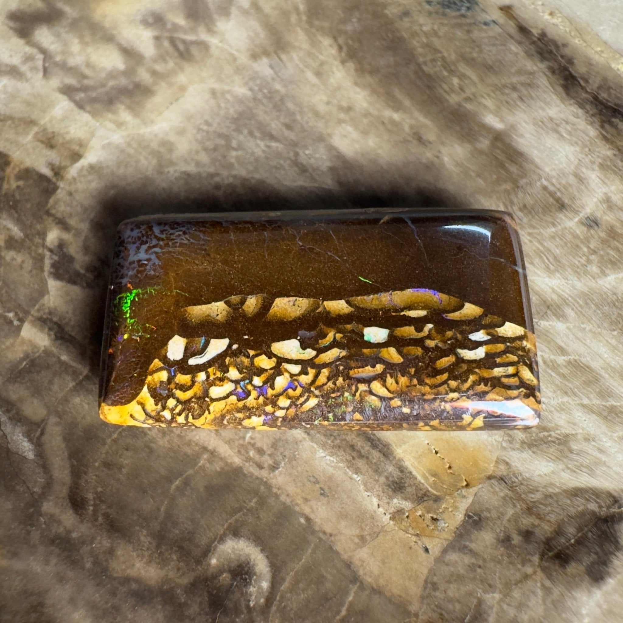 16.5ct Solid Queensland Boulder Opal