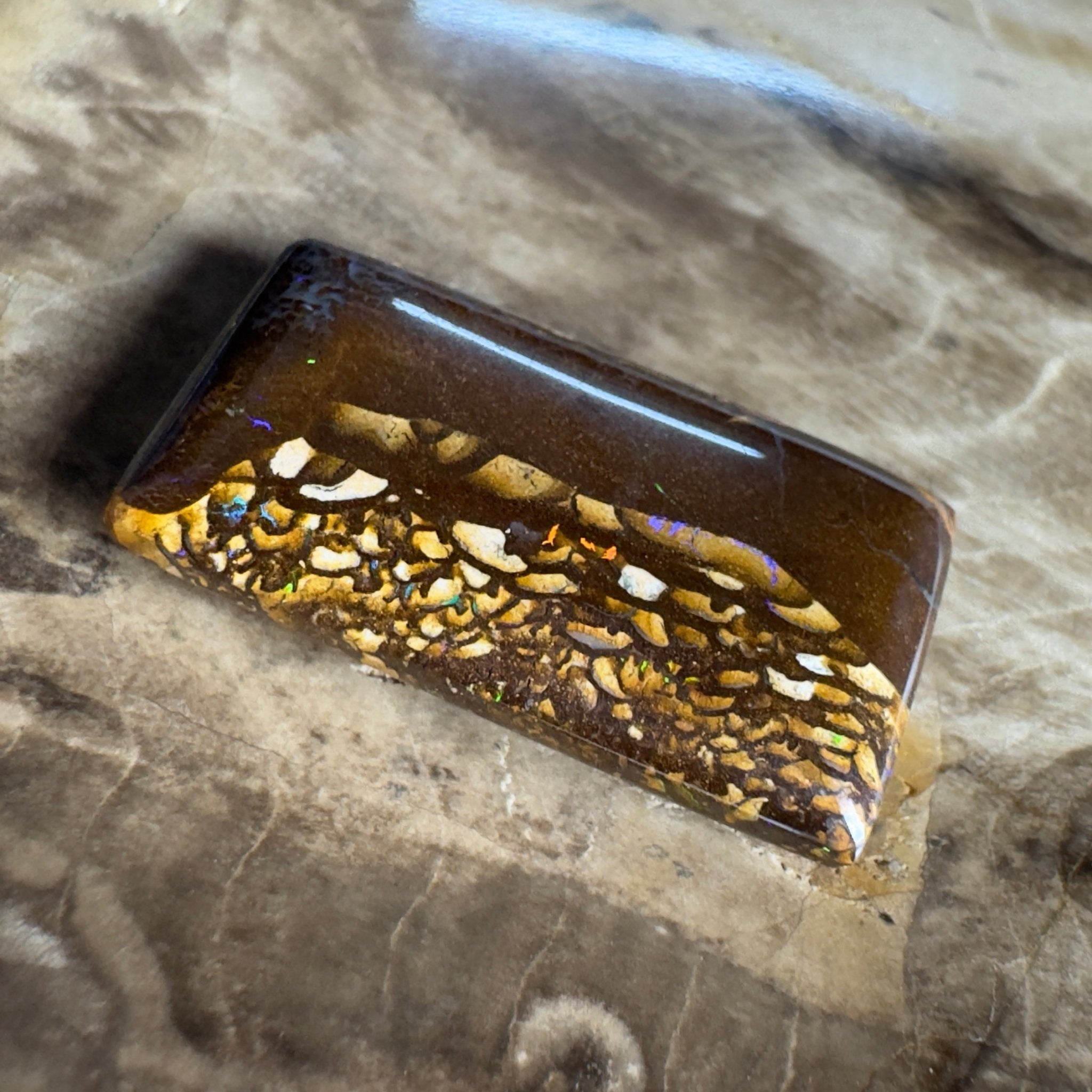 16.5ct Solid Queensland Boulder Opal