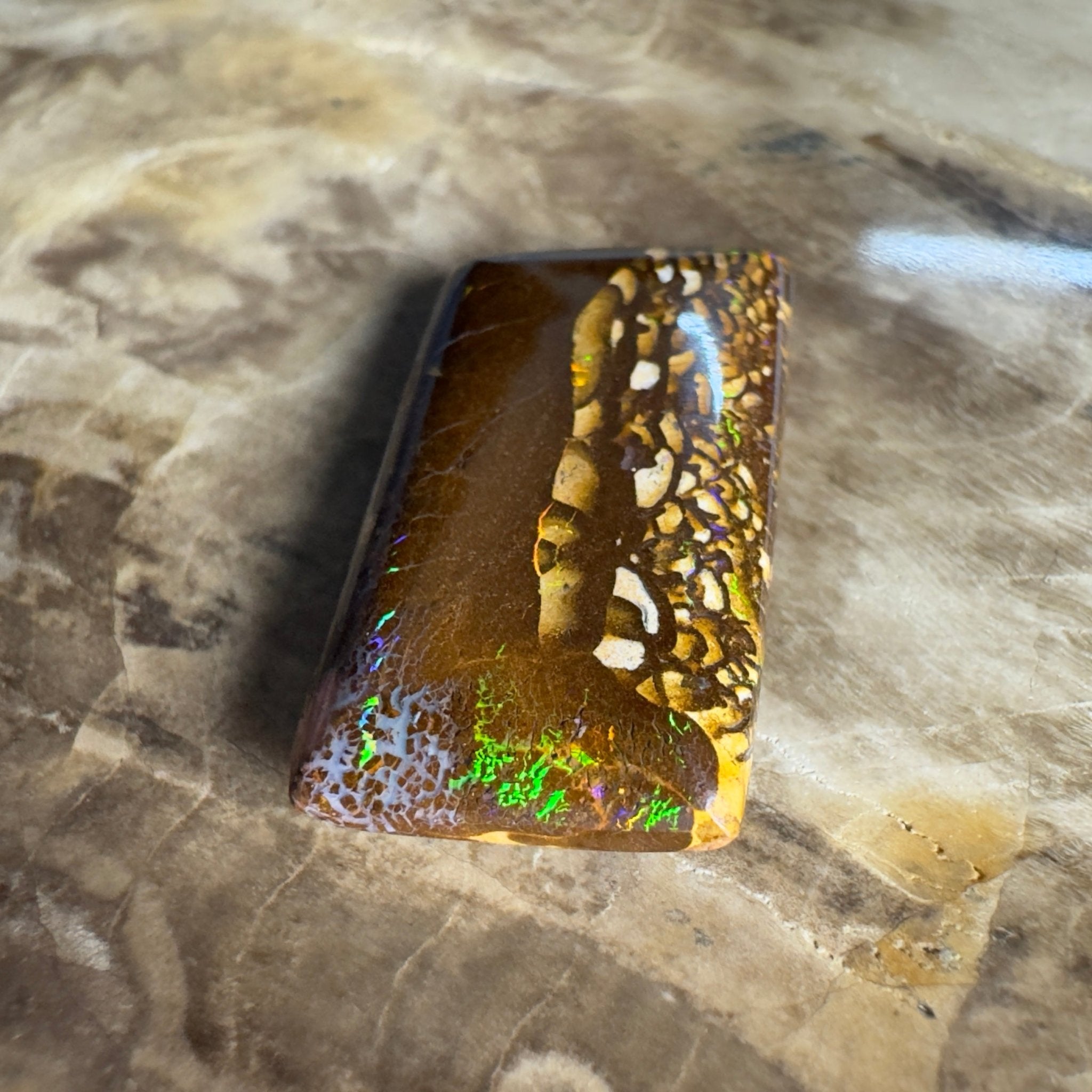 16.5ct Solid Queensland Boulder Opal