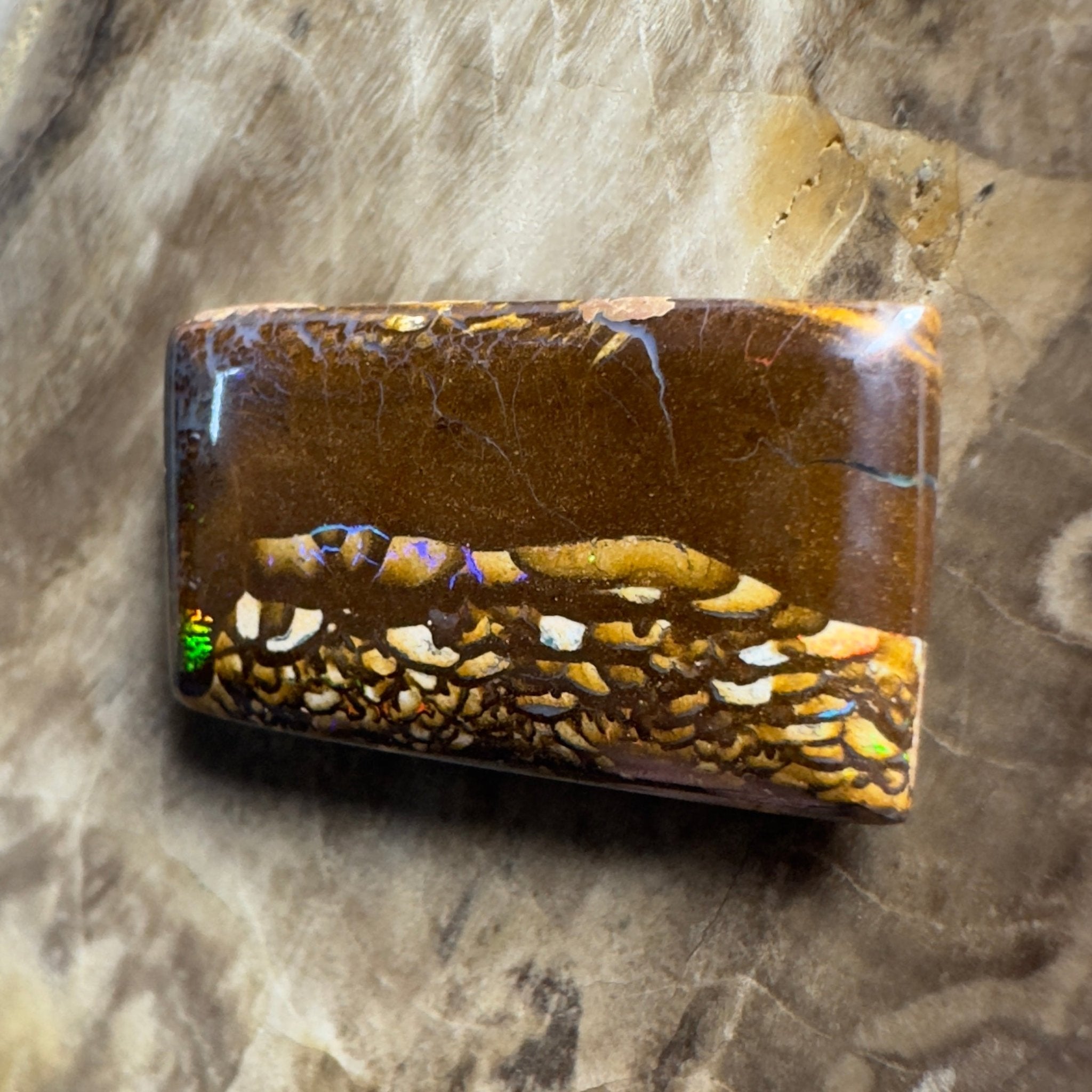 16.5ct Solid Queensland Boulder Opal