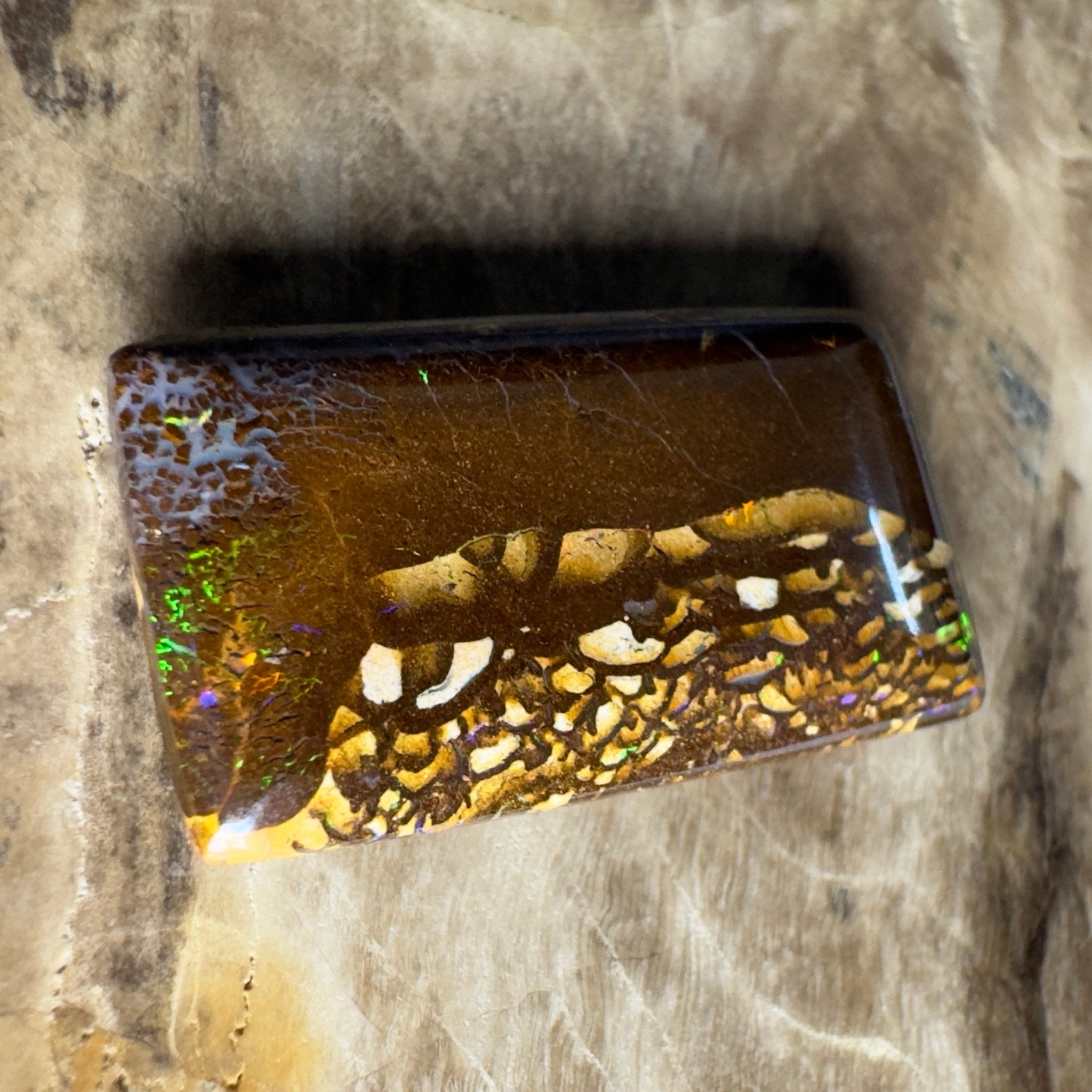 16.5ct Solid Queensland Boulder Opal