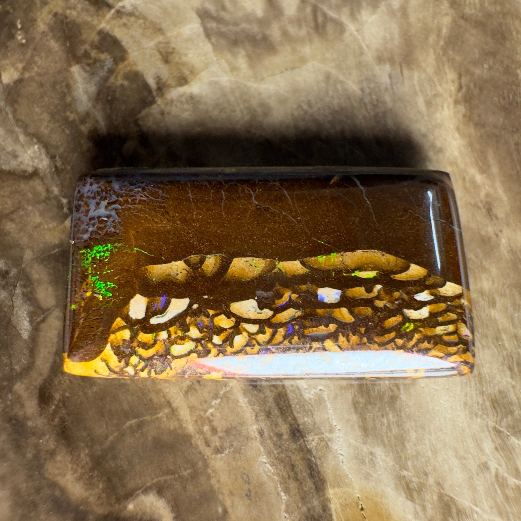 16.5ct Solid Queensland Boulder Opal