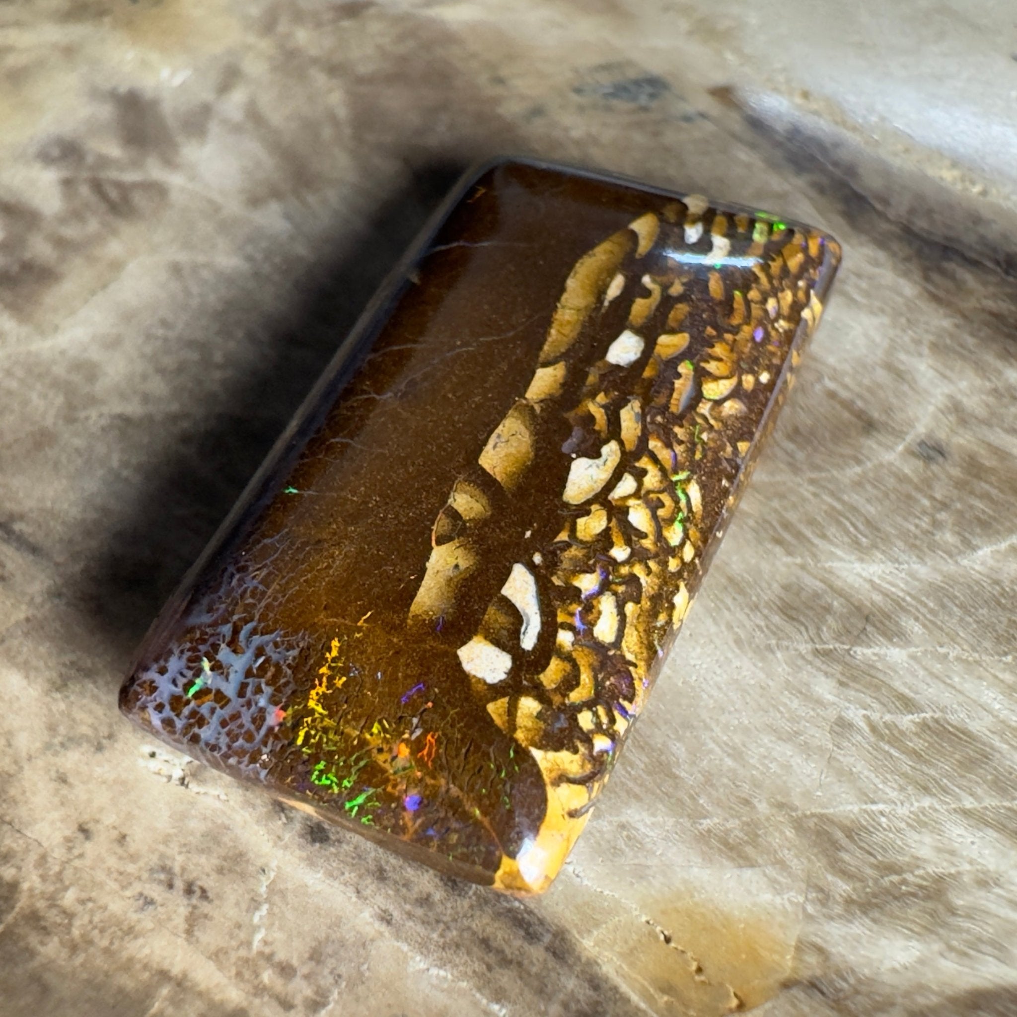 16.5ct Solid Queensland Boulder Opal