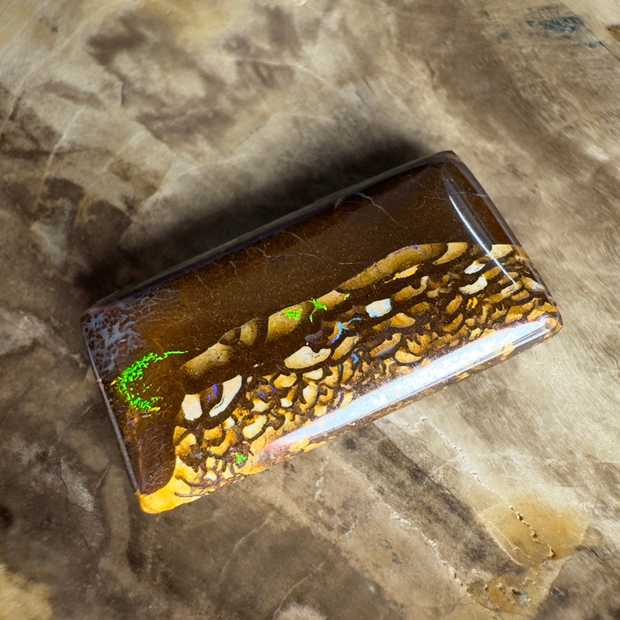 16.5ct Solid Queensland Boulder Opal