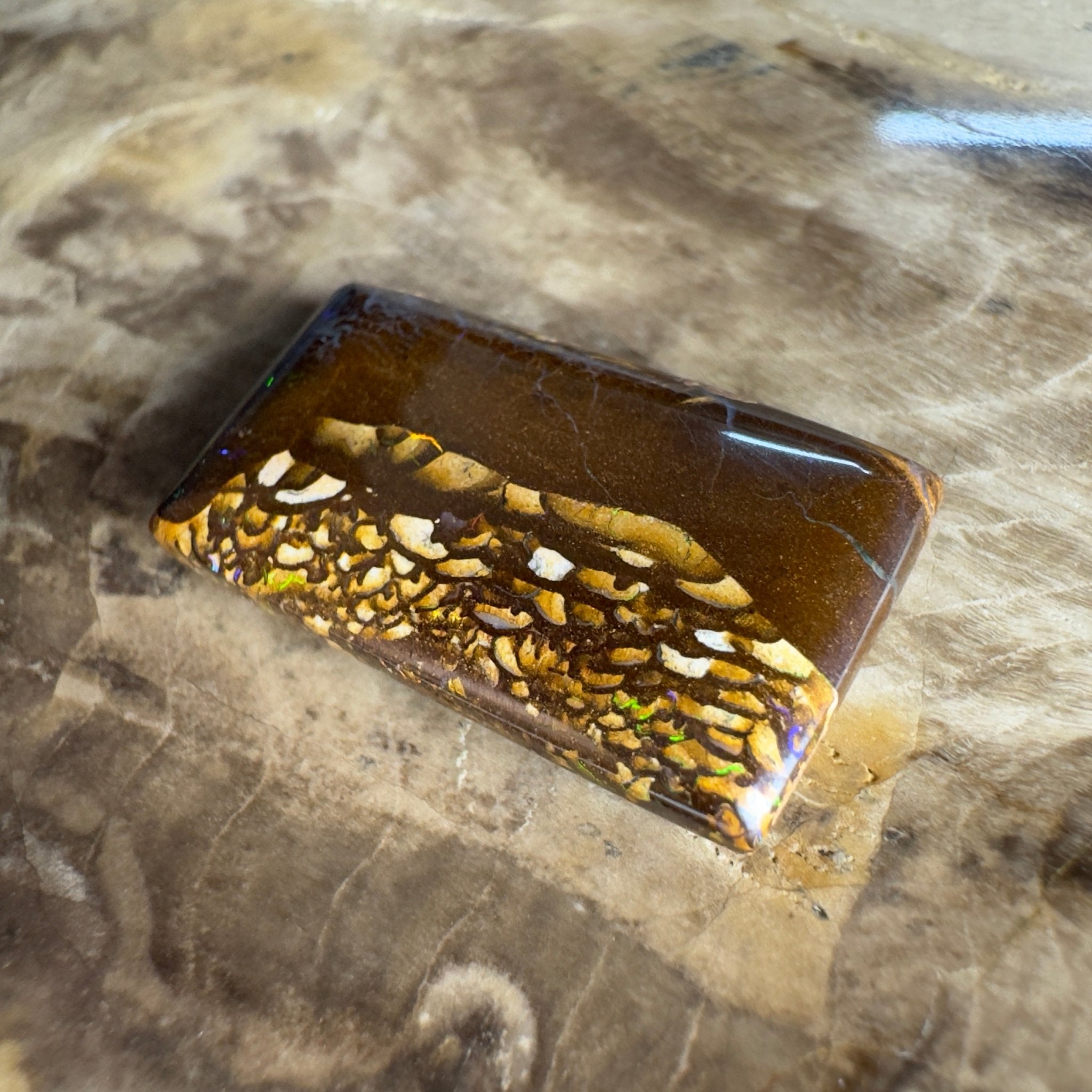 16.5ct Solid Queensland Boulder Opal