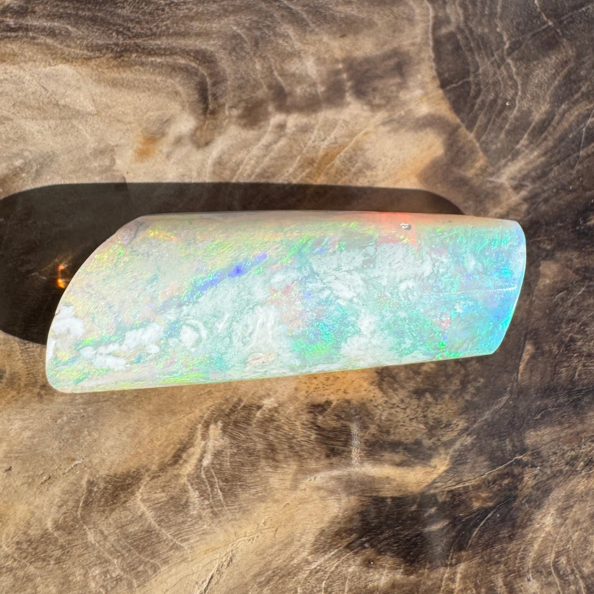 16.6ct Coober Pedy Belemnite Opal | Solid Australian Opal | Hand-Cut