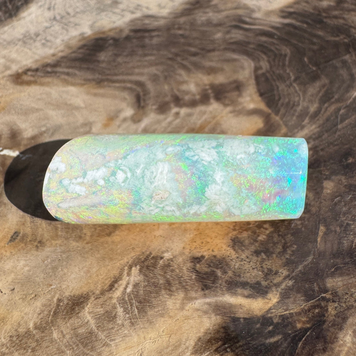 16.6ct Coober Pedy Belemnite Opal | Solid Australian Opal | Hand-Cut
