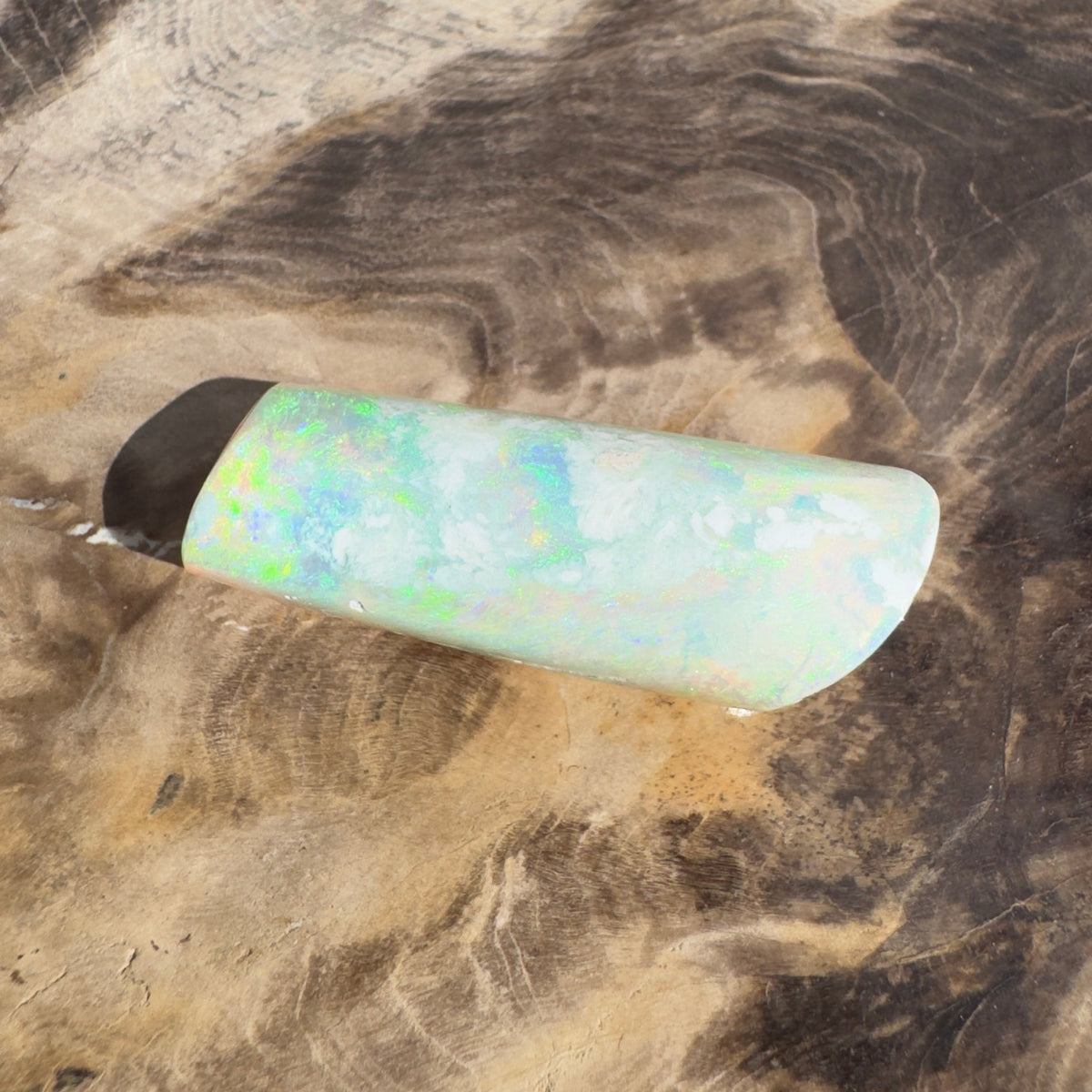 16.6ct Coober Pedy Belemnite Opal | Solid Australian Opal | Hand-Cut