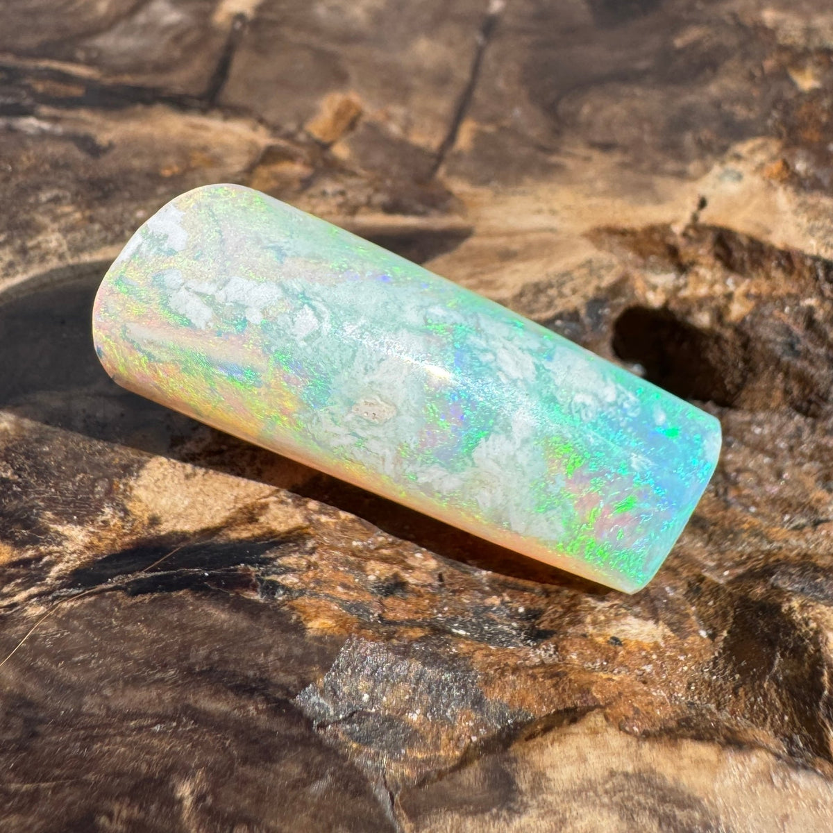 16.6ct Coober Pedy Belemnite Opal | Solid Australian Opal | Hand-Cut