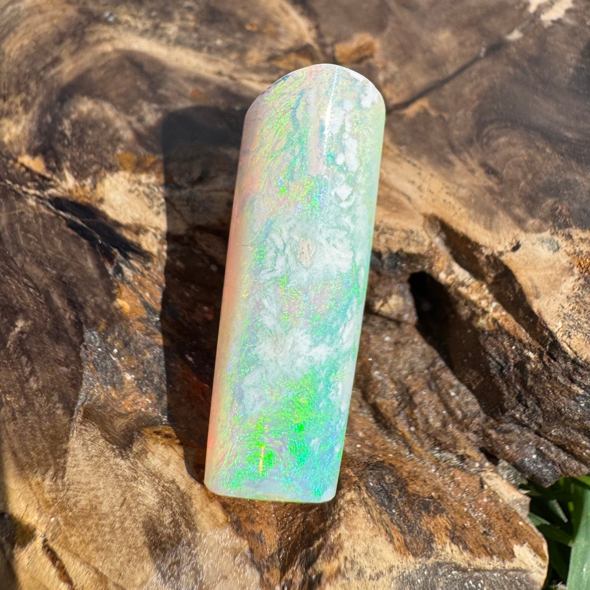 16.6ct Coober Pedy Belemnite Opal | Solid Australian Opal | Hand-Cut