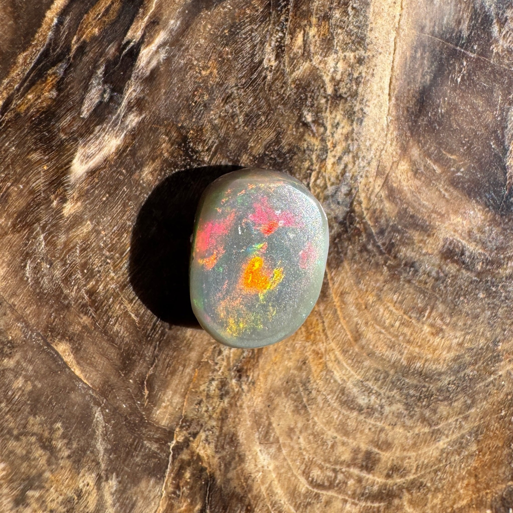 1.6ct Lightning Ridge Semi Black Opal | Solid Australian Opal | Hand-Cut