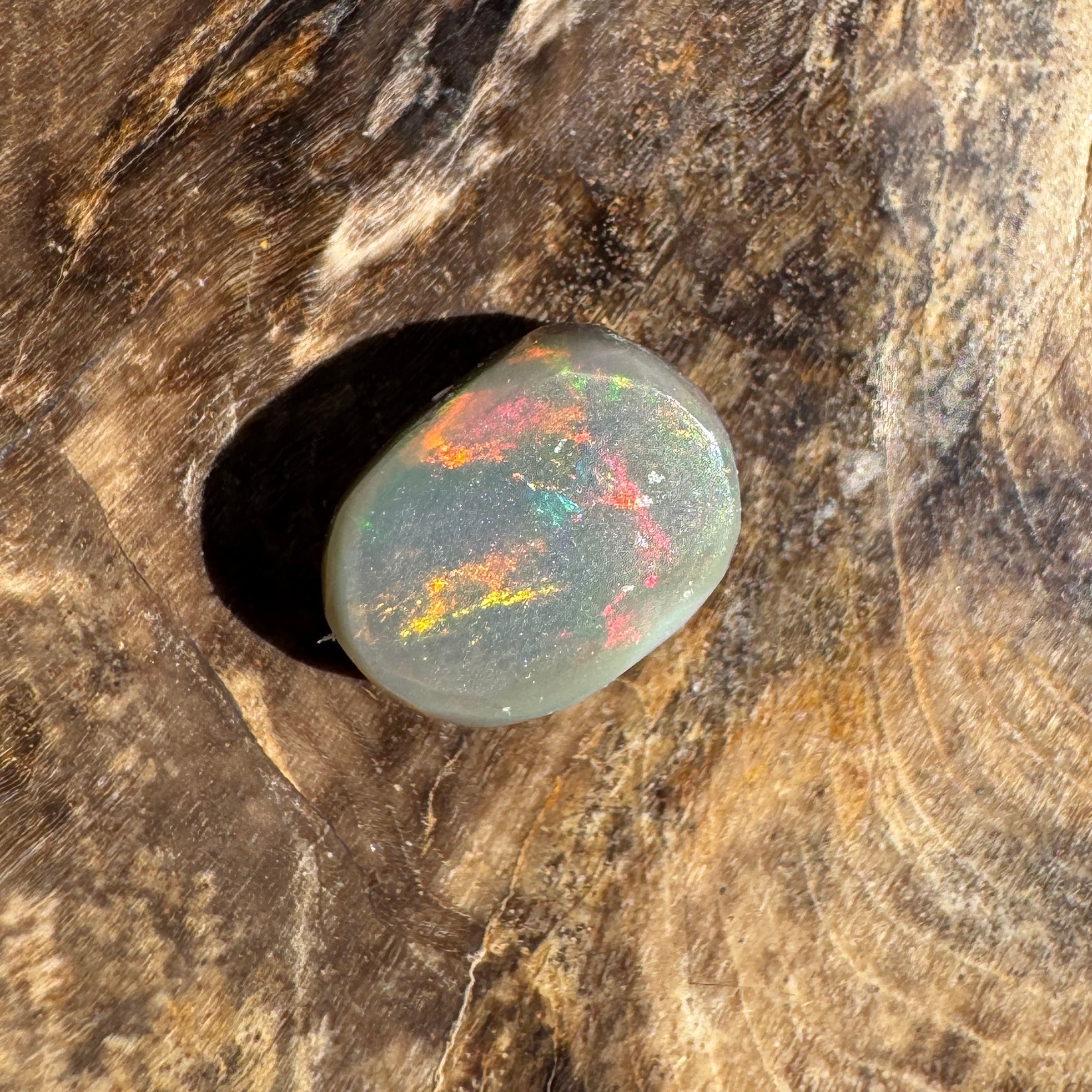 1.6ct Lightning Ridge Semi Black Opal | Solid Australian Opal | Hand-Cut