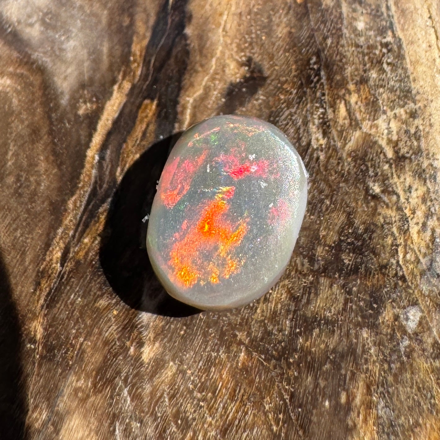 1.6ct Lightning Ridge Semi Black Opal | Solid Australian Opal | Hand-Cut