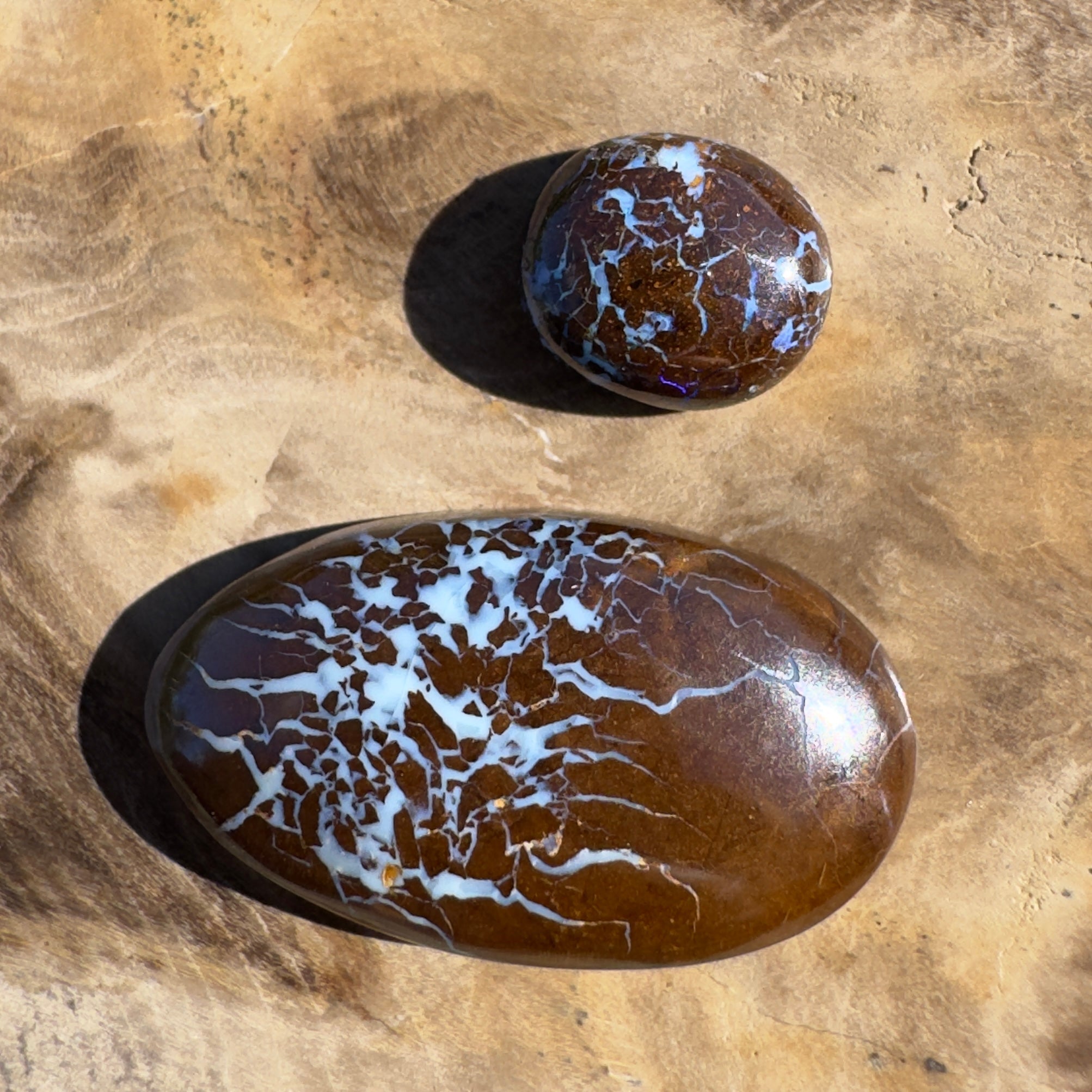 16ct Queensland Boulder Opal | Solid Australian Opal