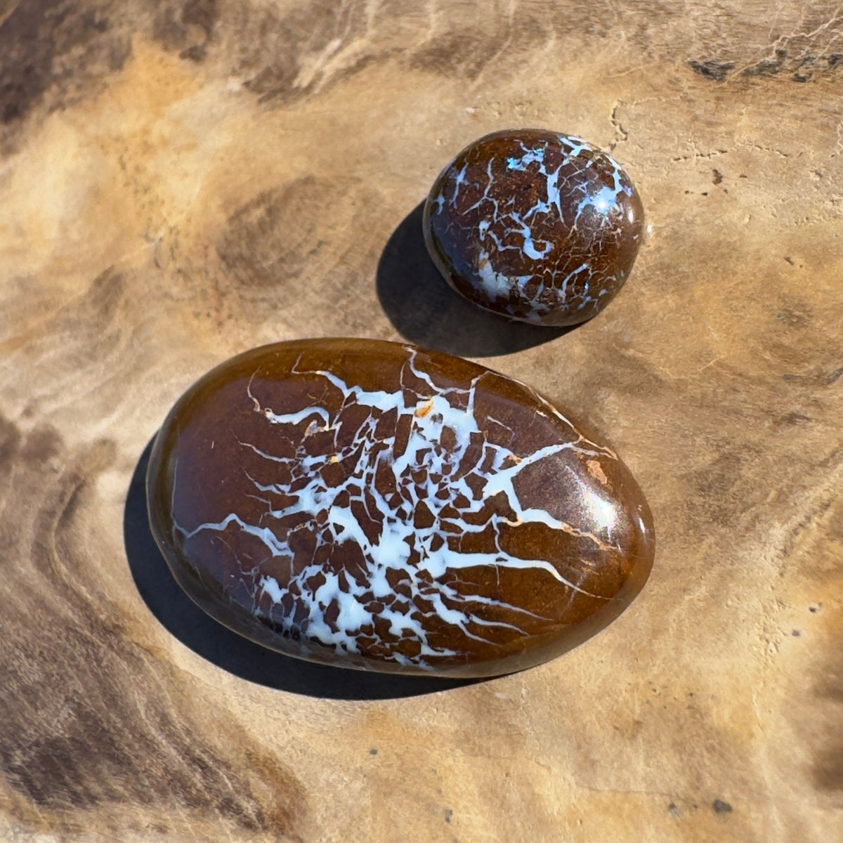 16ct Queensland Boulder Opal | Solid Australian Opal